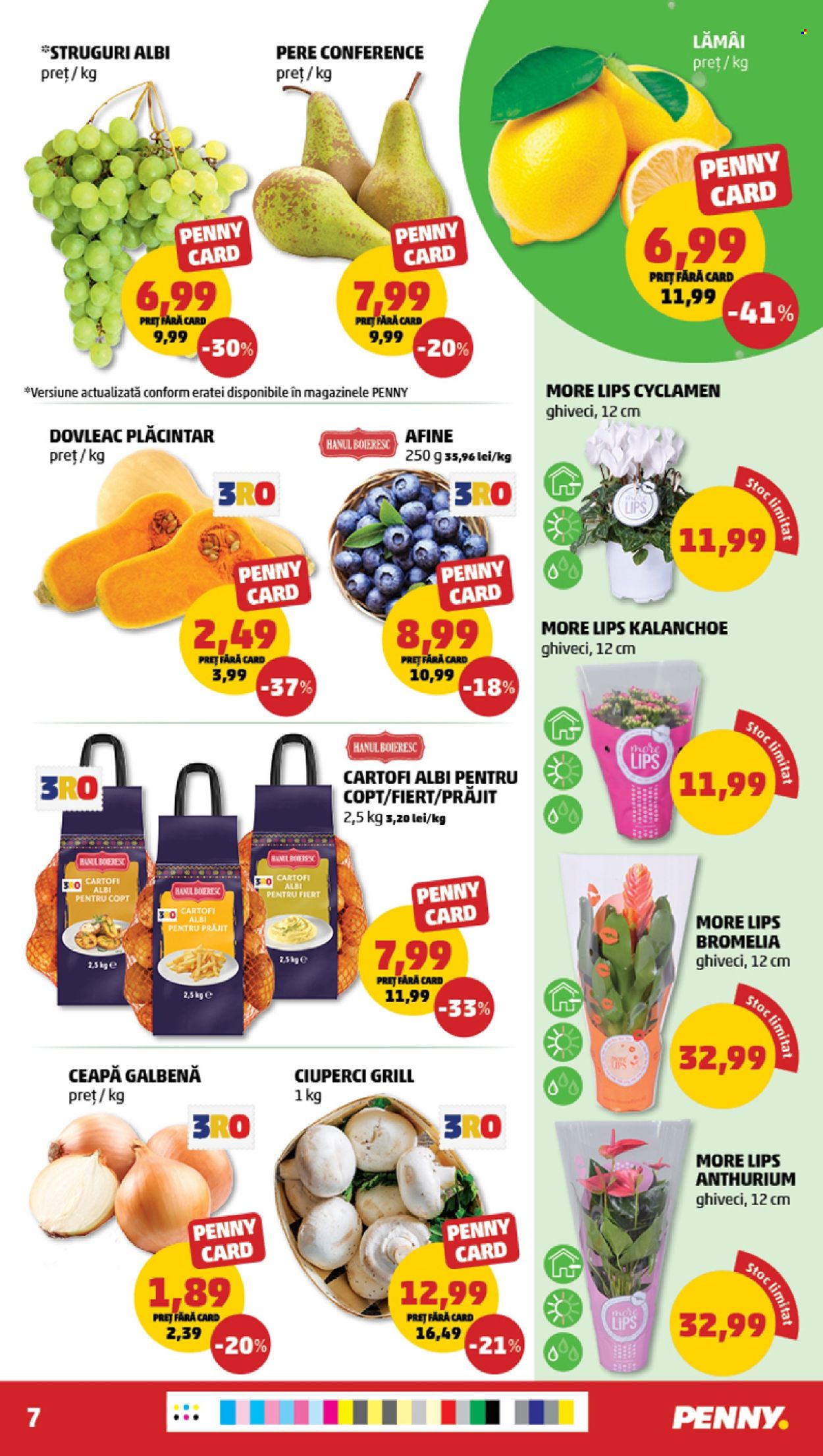 Catalog PENNY - 26.08.2026 - 01.09.2026. Pagina 7