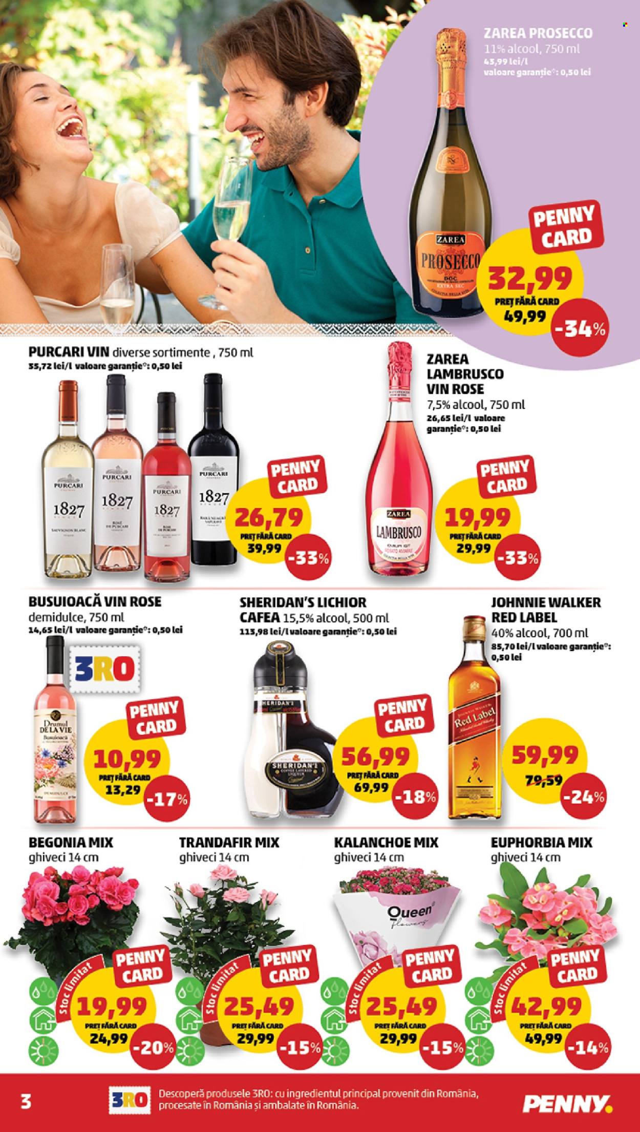 Catalog PENNY - 02.09.2026 - 08.09.2026. Pagina 3