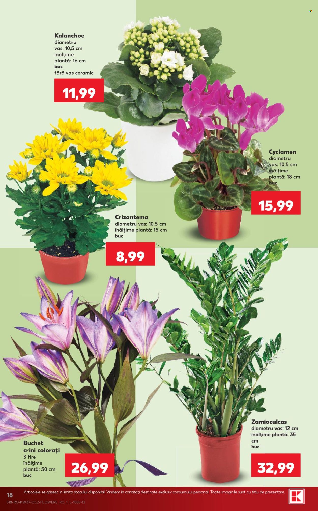 Catalog Kaufland - 09.09.2026 - 15.09.2026. Pagina 18