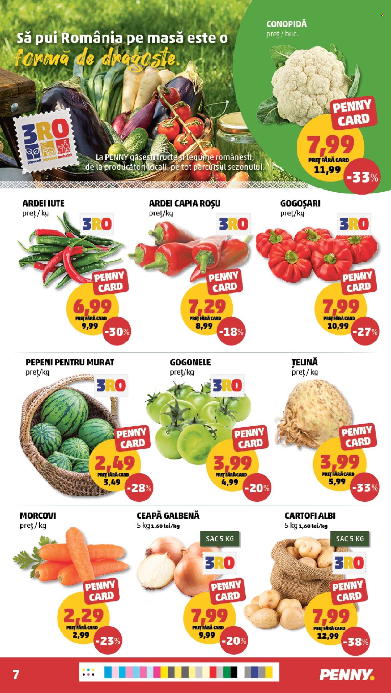Catalog PENNY - 16.09.2026 - 22.09.2026. Pagina 7