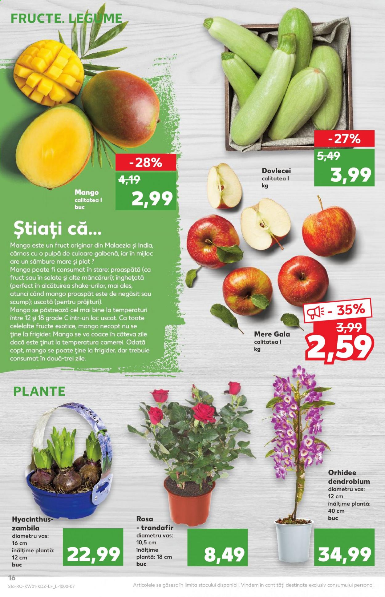Catalog Kaufland - 06.01.2021 - 12.01.2021. Pagina 16