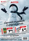 Cataloage Profi - 13.01.2021 - 26.01.2021.