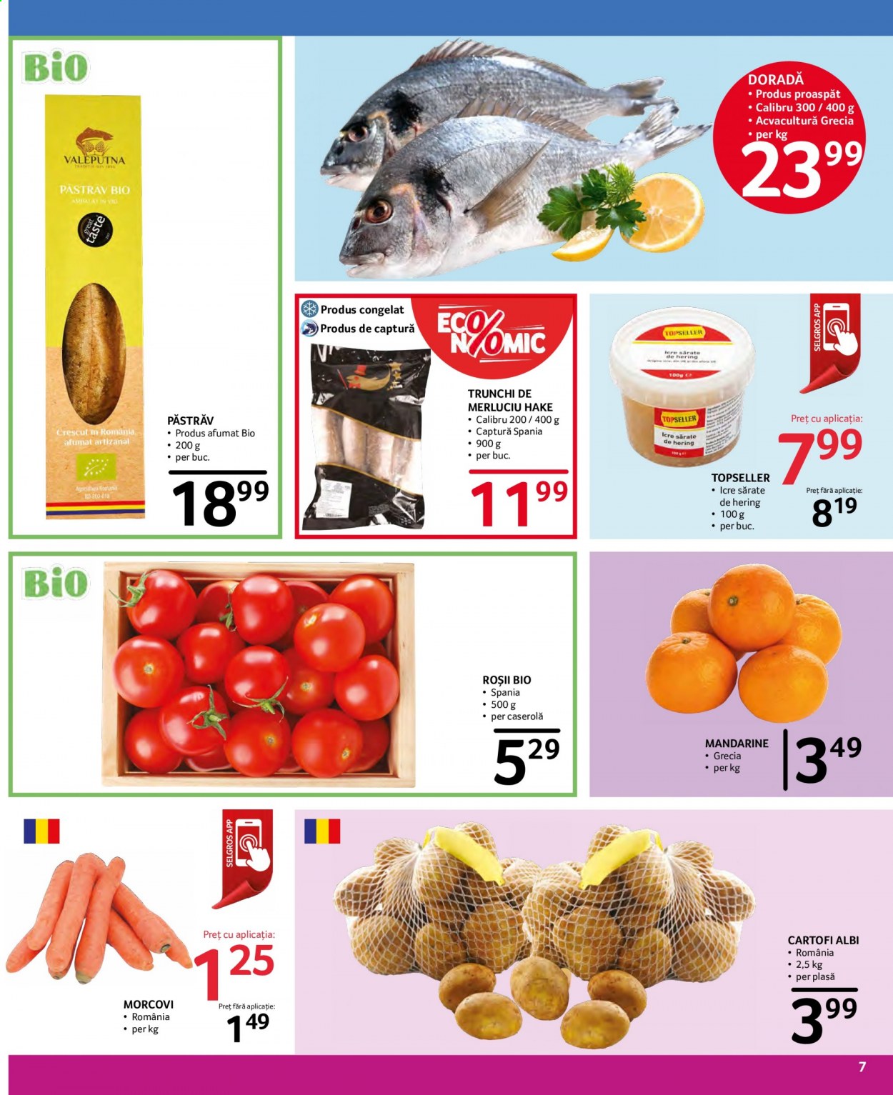 Catalog Selgros - 22.01.2021 - 04.02.2021. Pagina 7