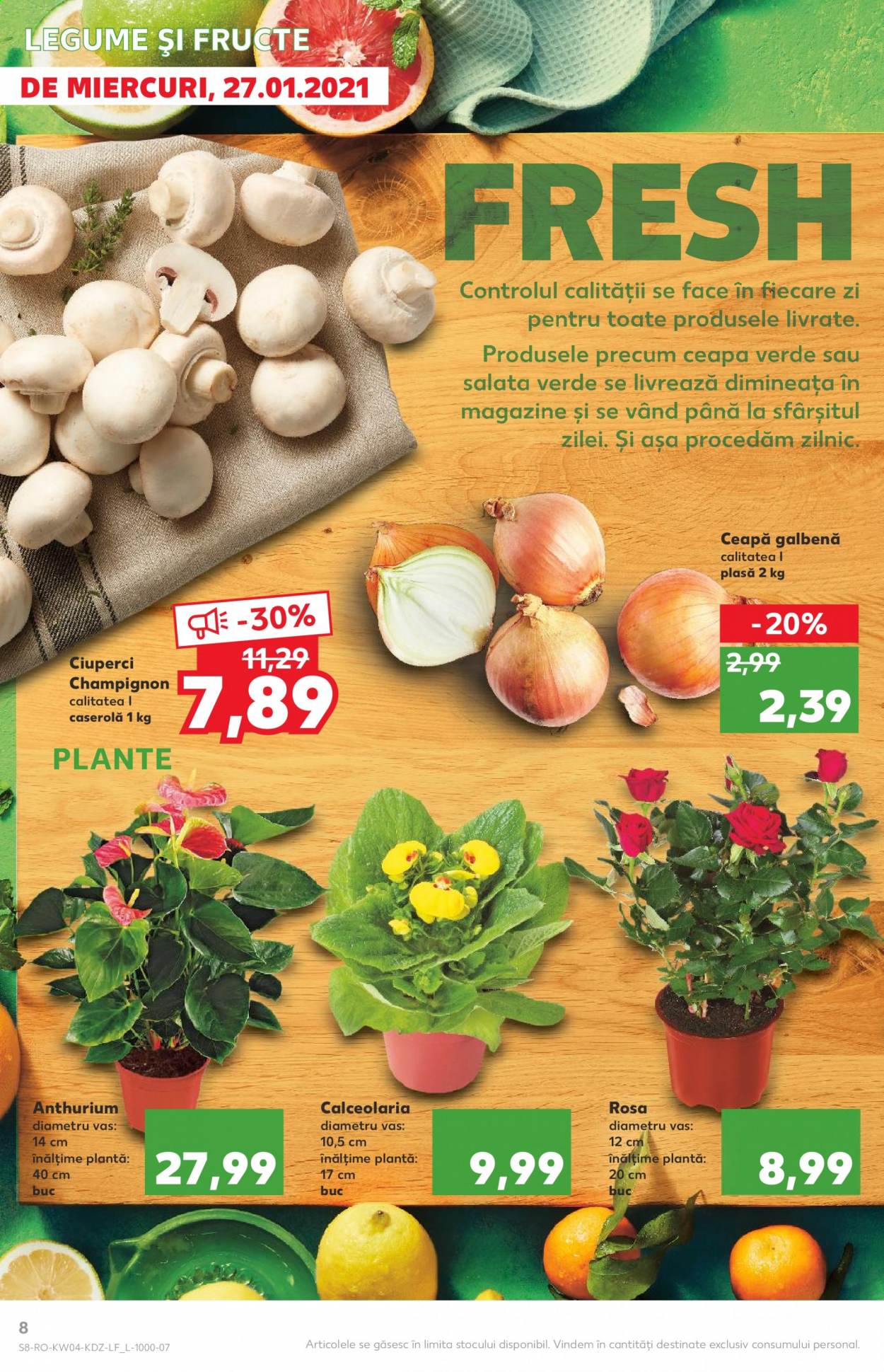 Catalog Kaufland - 27.01.2021 - 02.02.2021. Pagina 8