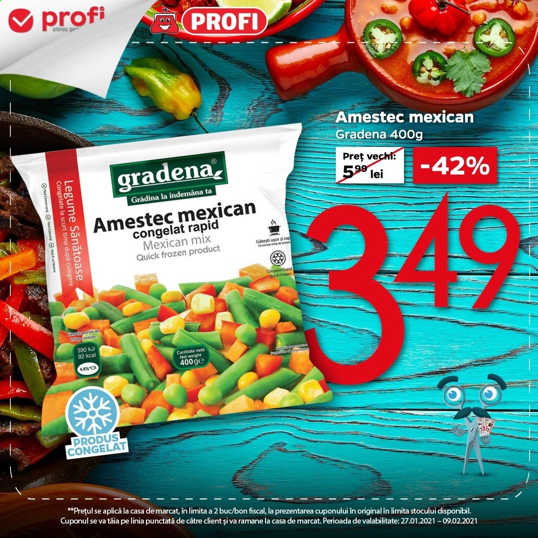 Catalog Profi - 27.01.2021 - 09.02.2021. Pagina 2