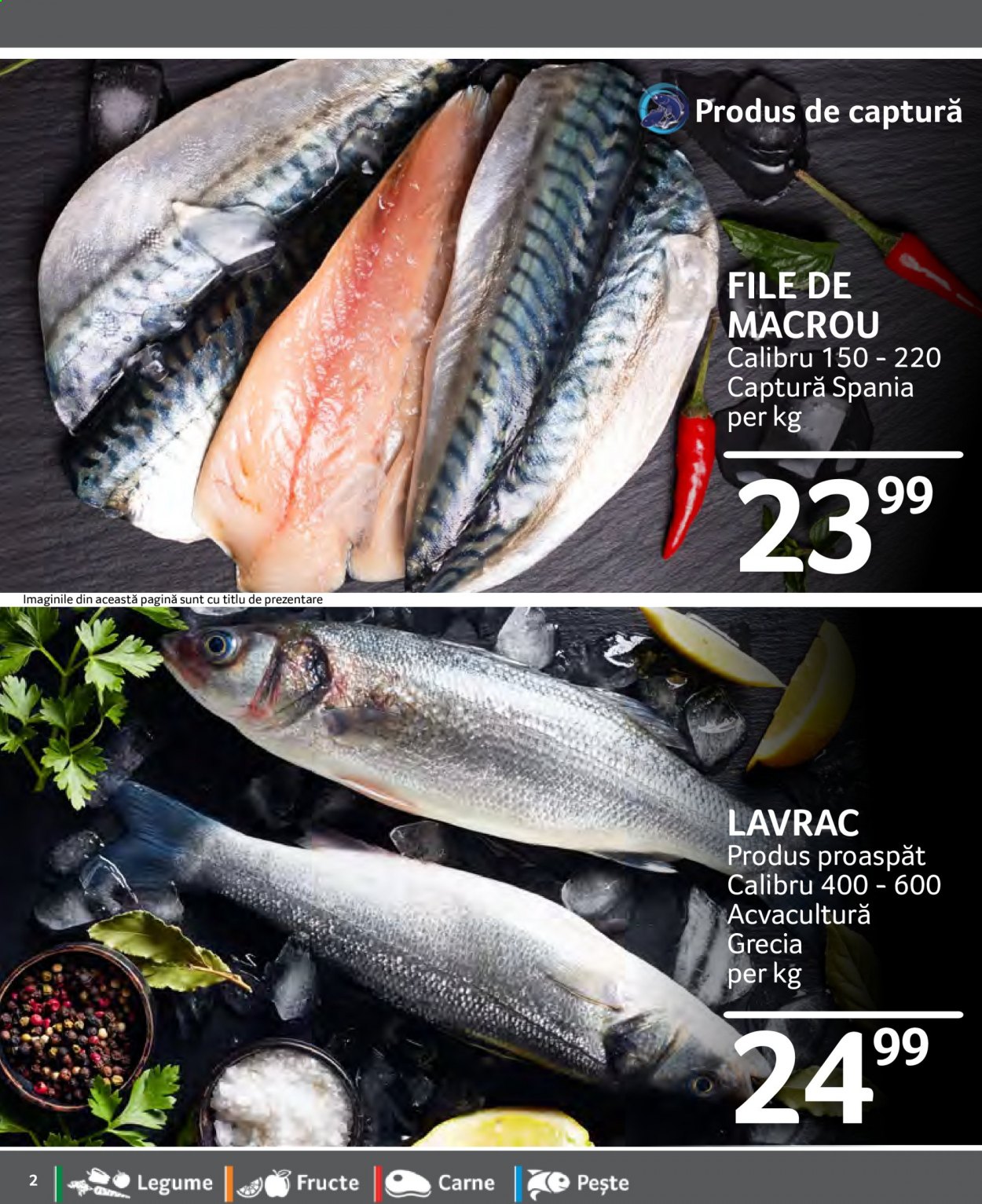 Catalog Selgros - 29.01.2021 - 04.02.2021. Pagina 2
