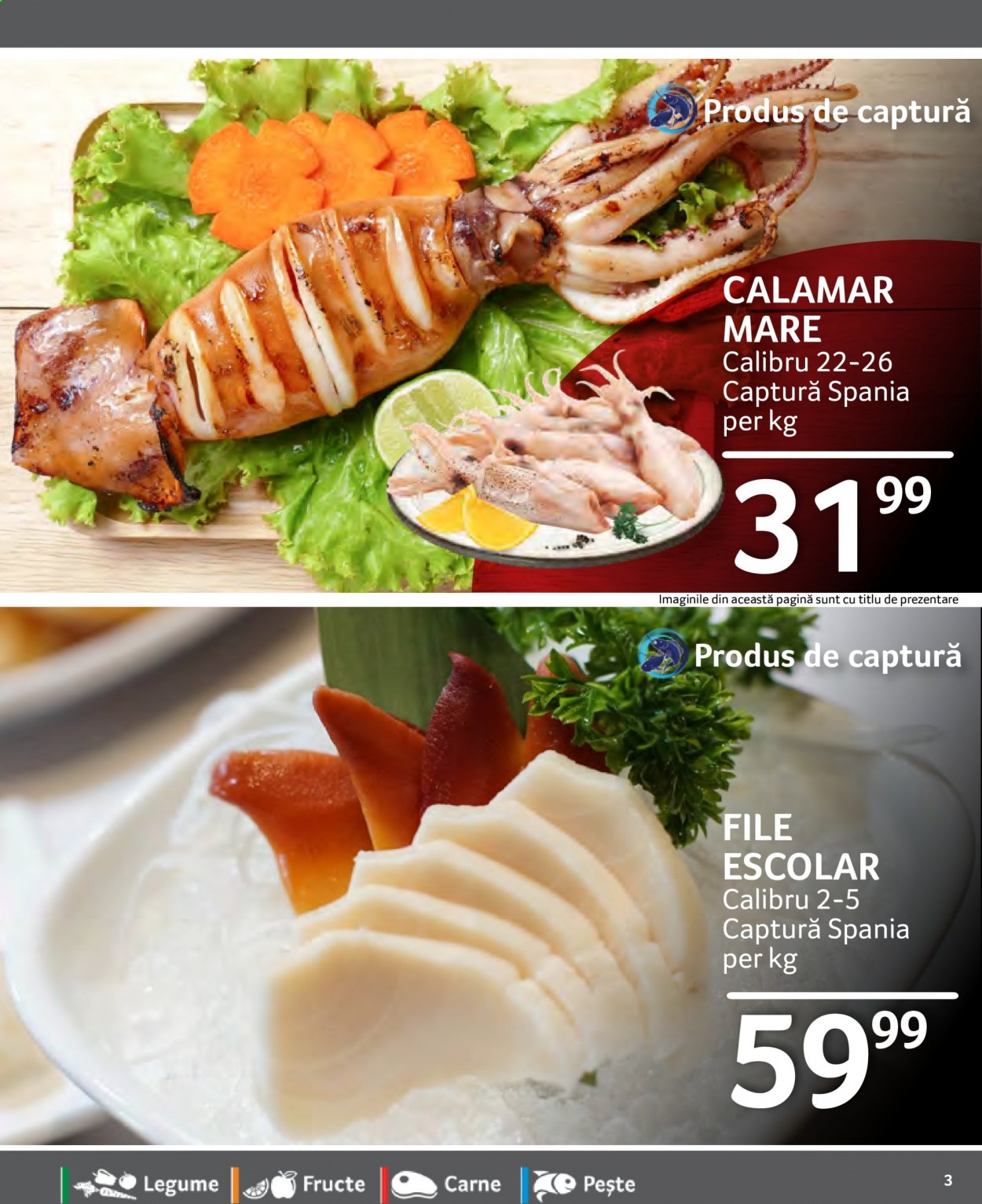 Catalog Selgros - 29.01.2021 - 04.02.2021. Pagina 3