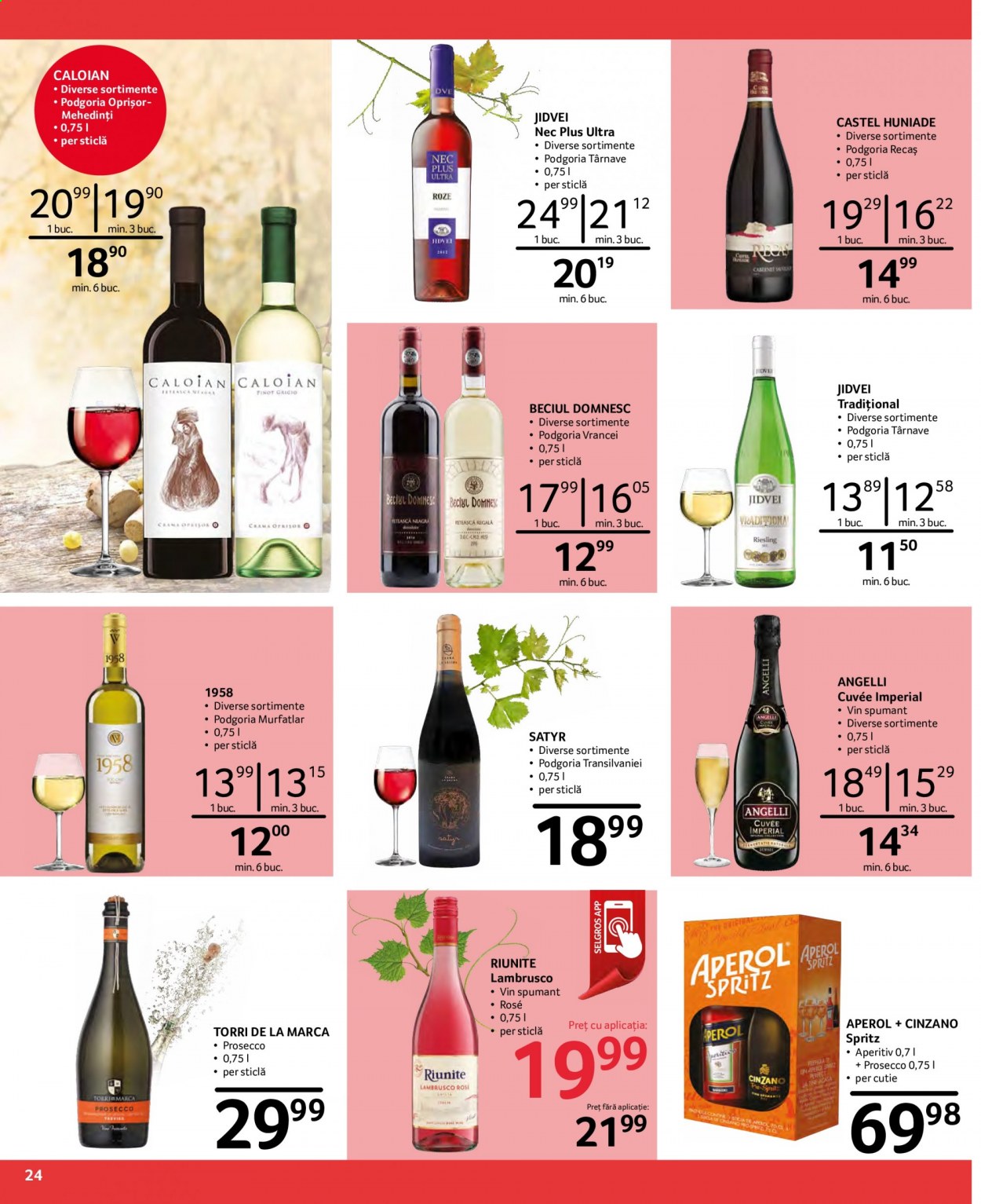 Catalog Selgros - 05.02.2021 - 18.02.2021. Pagina 24