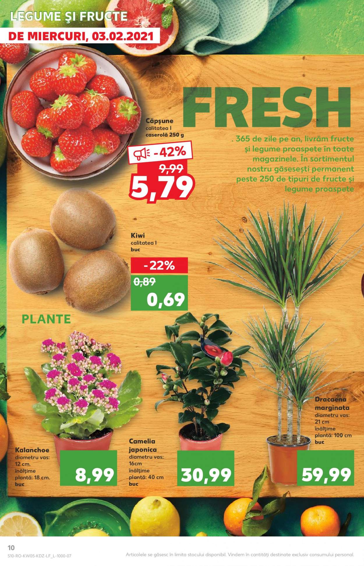 Catalog Kaufland - 03.02.2021 - 09.02.2021. Pagina 10
