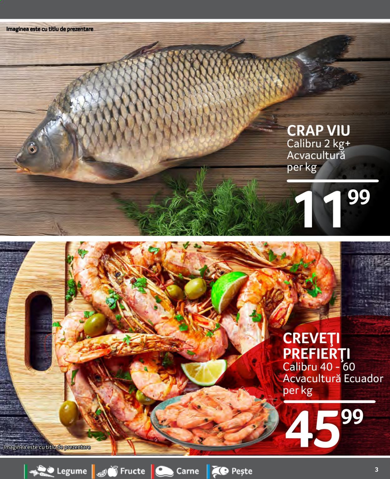 Catalog Selgros - 05.02.2021 - 11.02.2021. Pagina 3