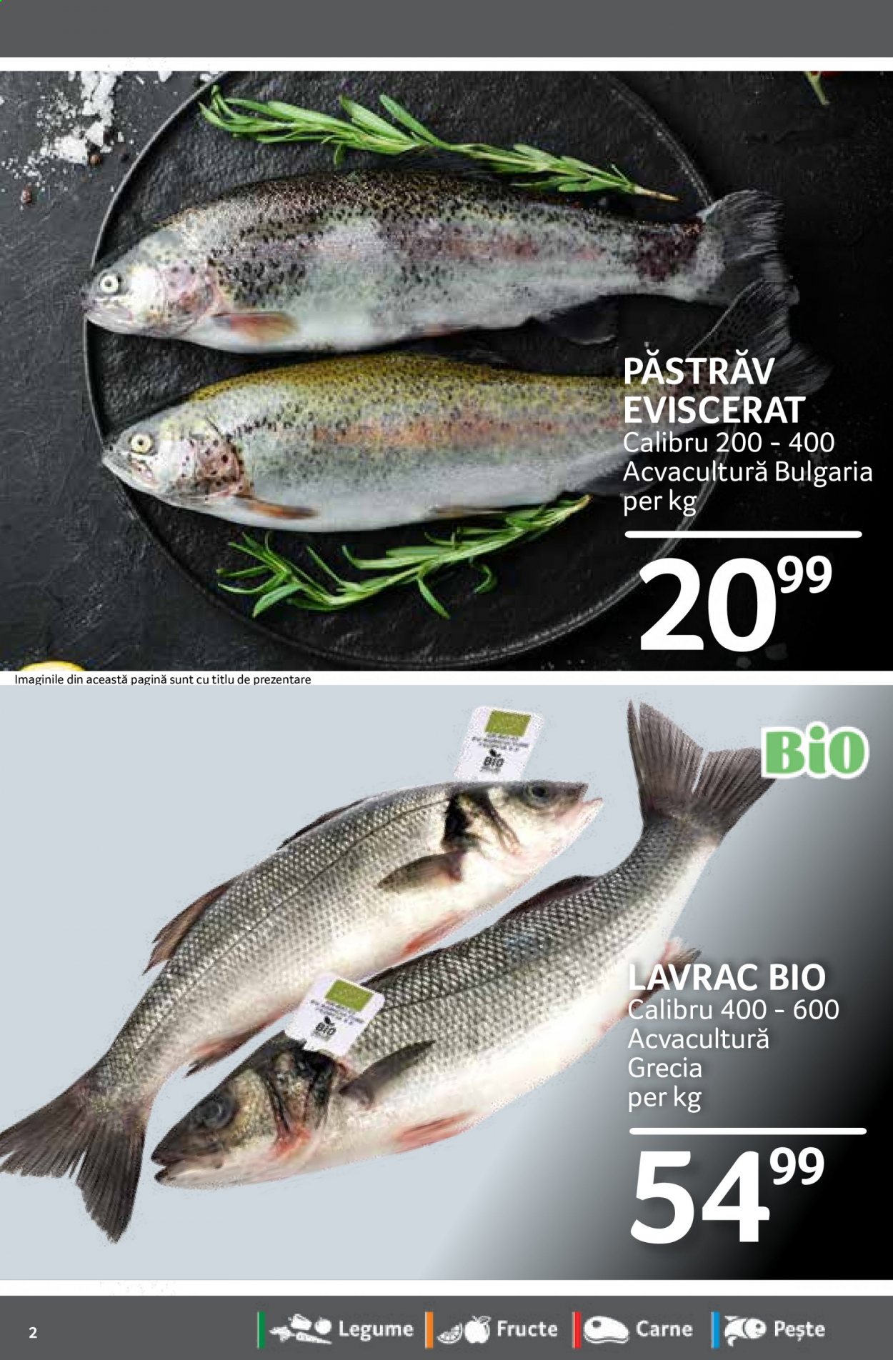 Catalog Selgros - 12.02.2021 - 18.02.2021. Pagina 2