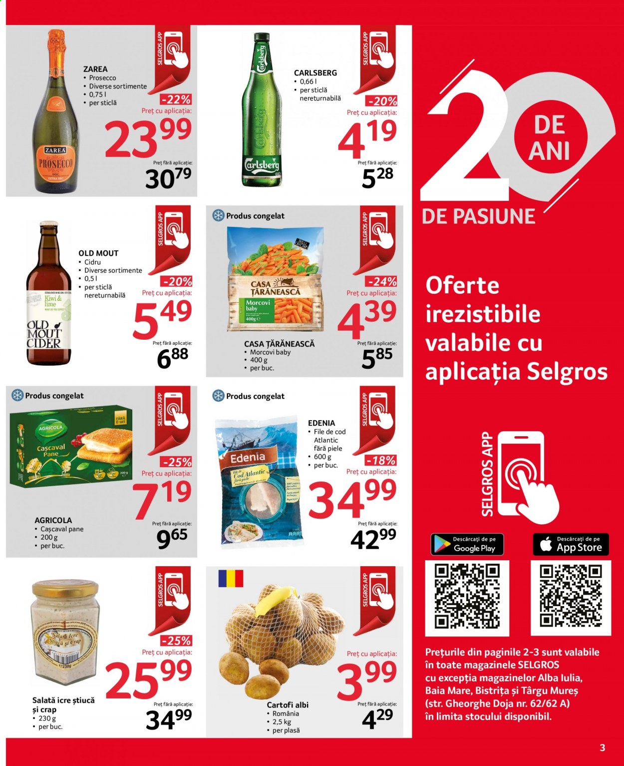 Catalog Selgros - 19.02.2021 - 04.03.2021. Pagina 3