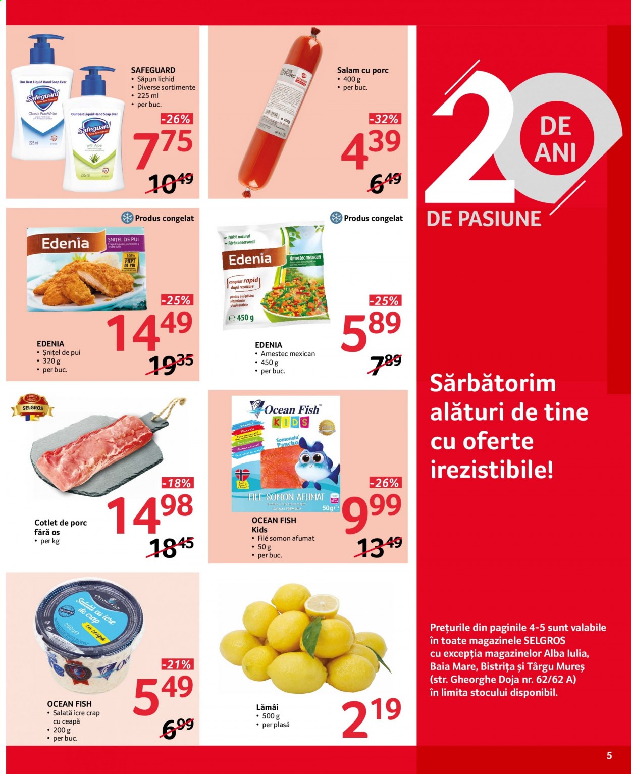 Catalog Selgros - 19.02.2021 - 04.03.2021. Pagina 5