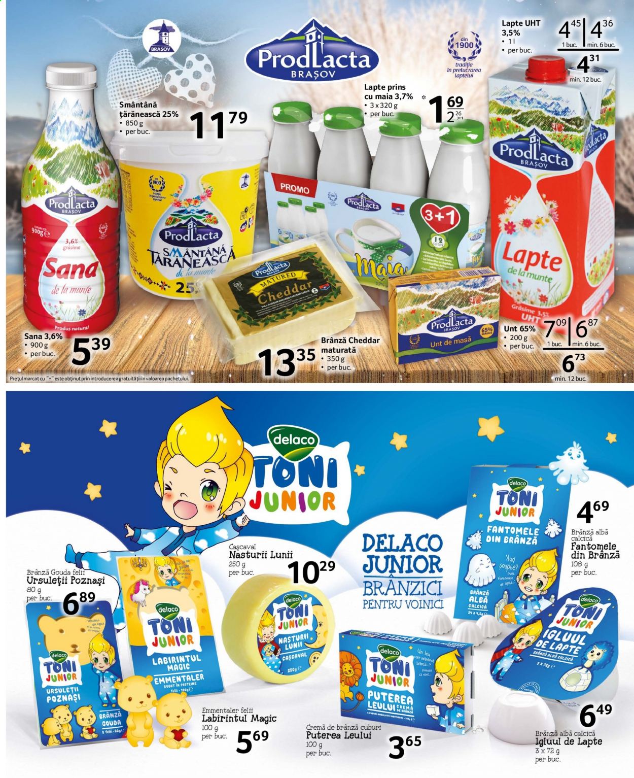 Catalog Selgros - 19.02.2021 - 04.03.2021. Pagina 13