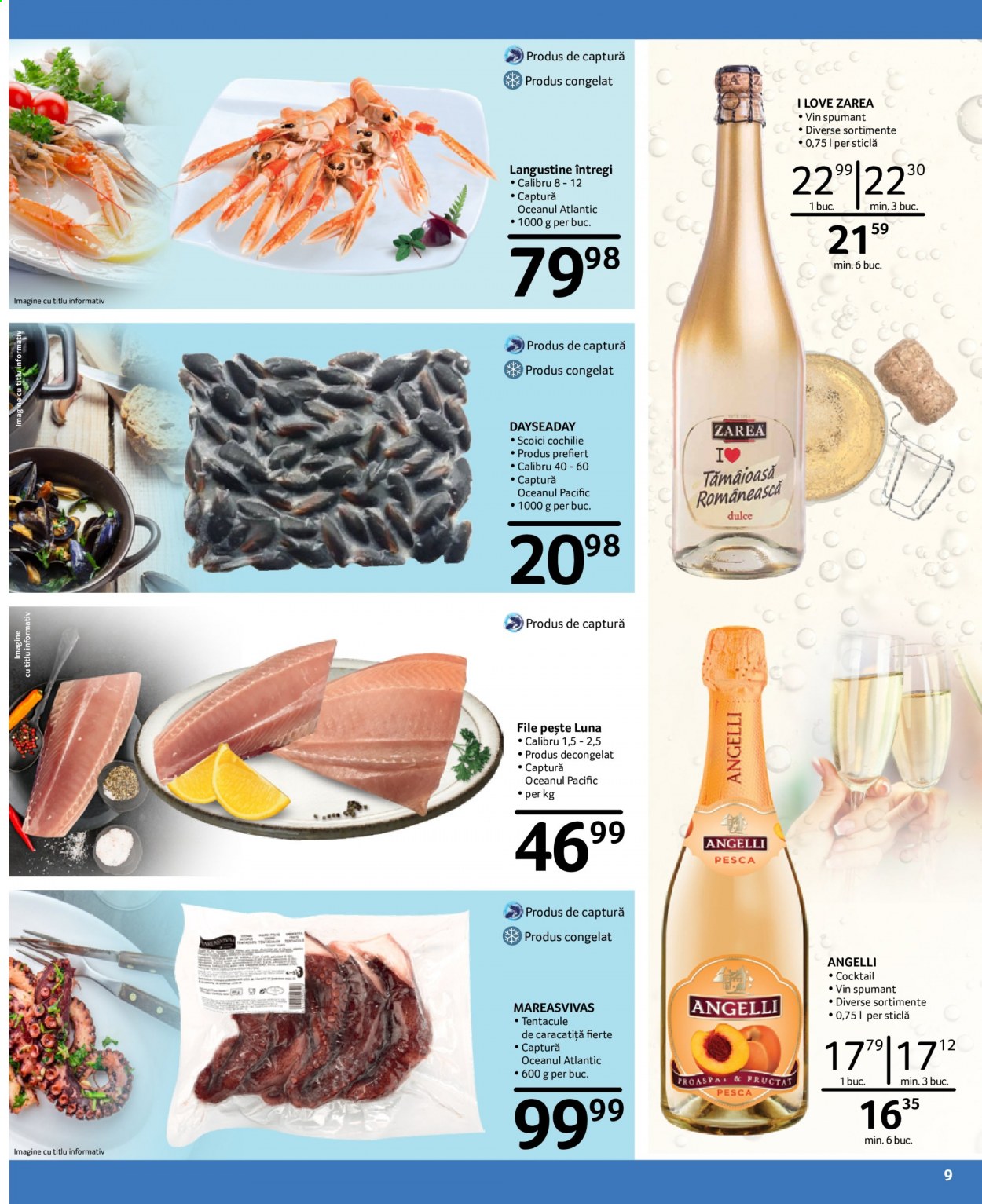 Catalog Selgros - 19.02.2021 - 08.03.2021. Pagina 9