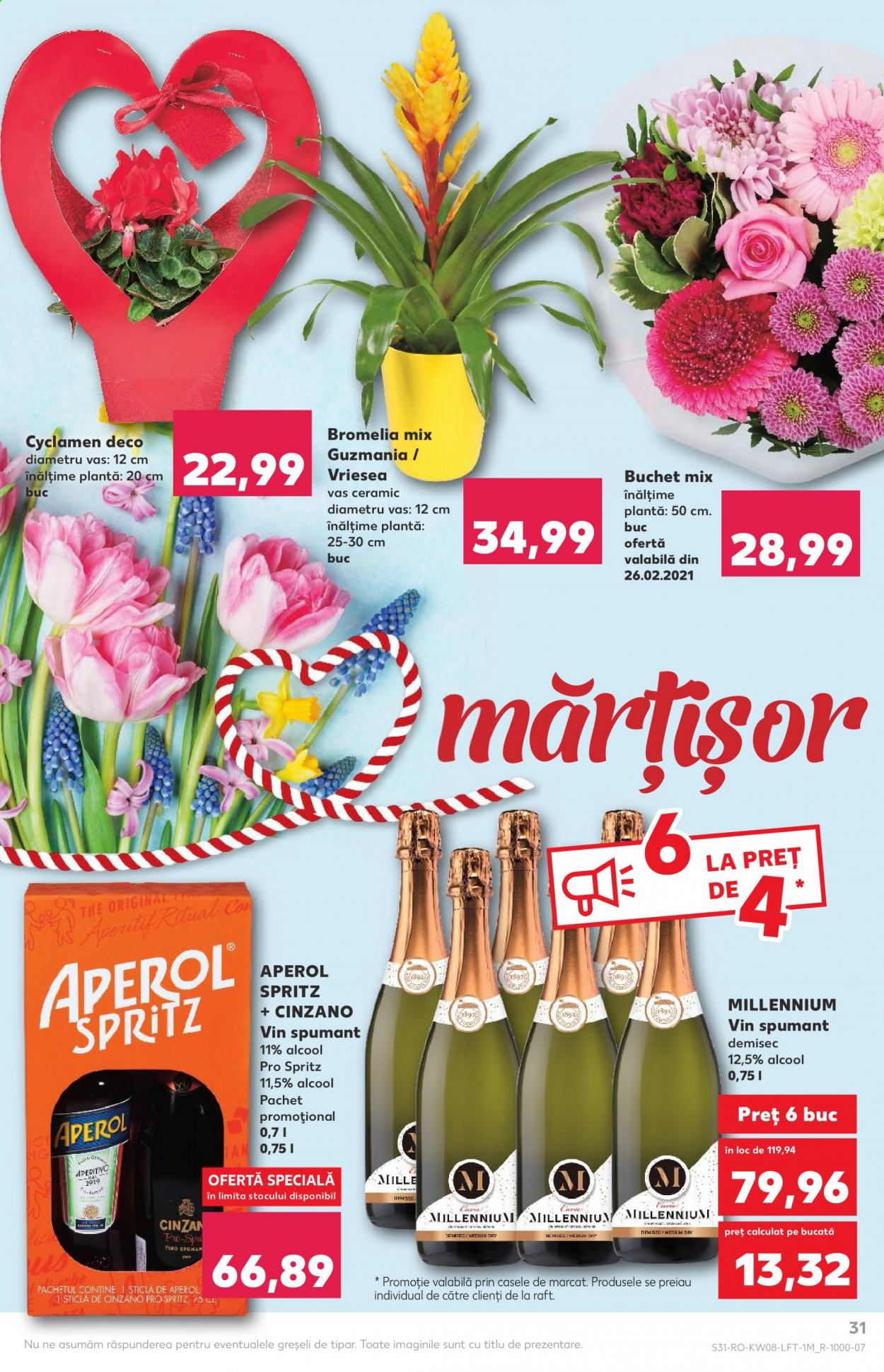 Catalog Kaufland - 24.02.2021 - 02.03.2021. Pagina 31
