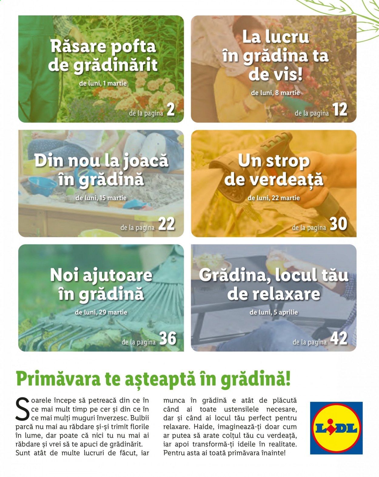 Catalog Lidl. Pagina 3
