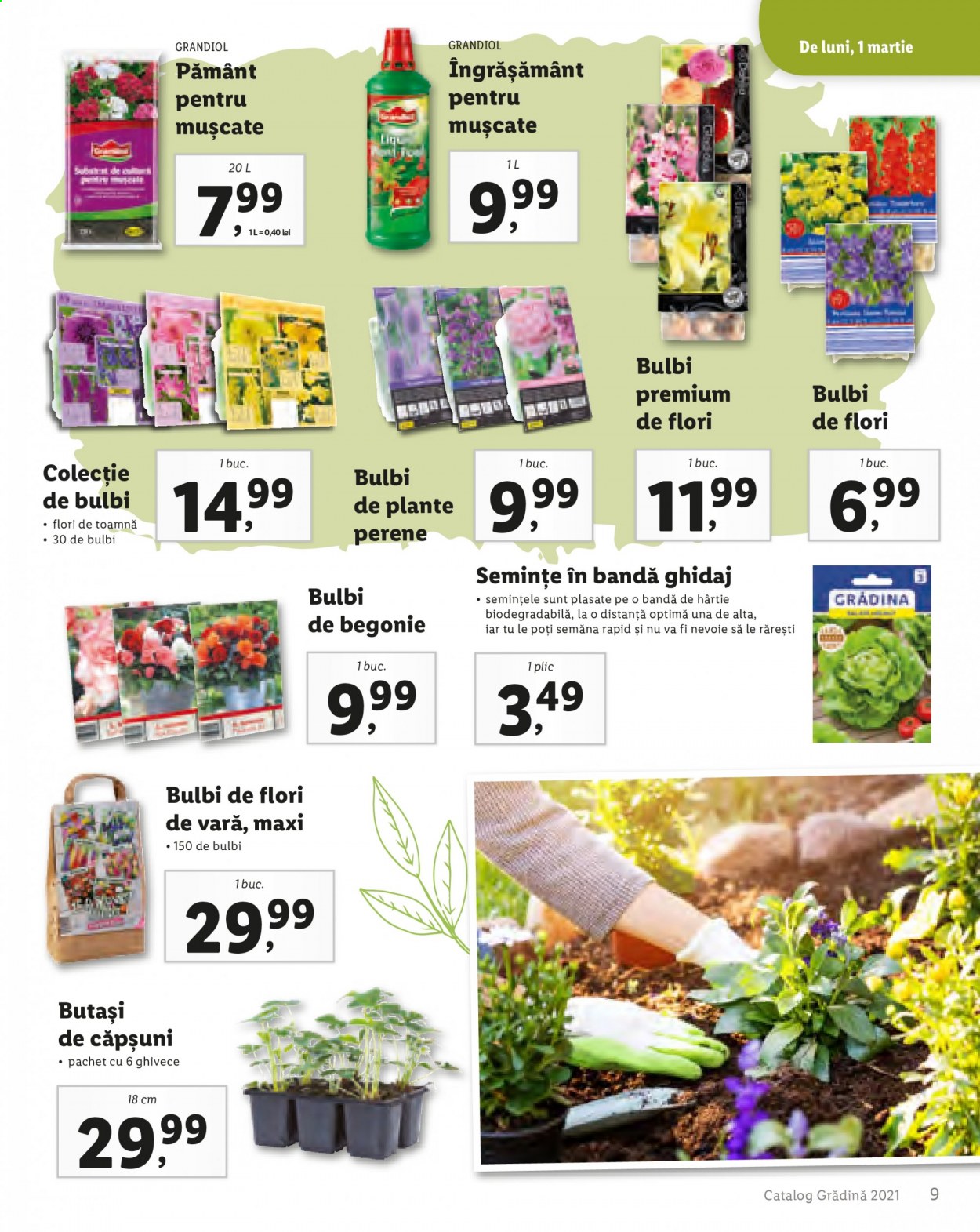 Catalog Lidl. Pagina 11