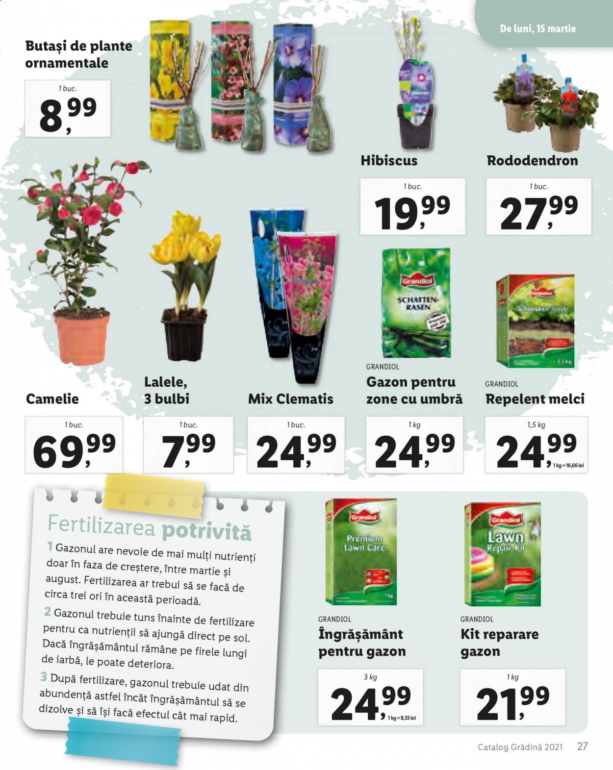Catalog Lidl. Pagina 29
