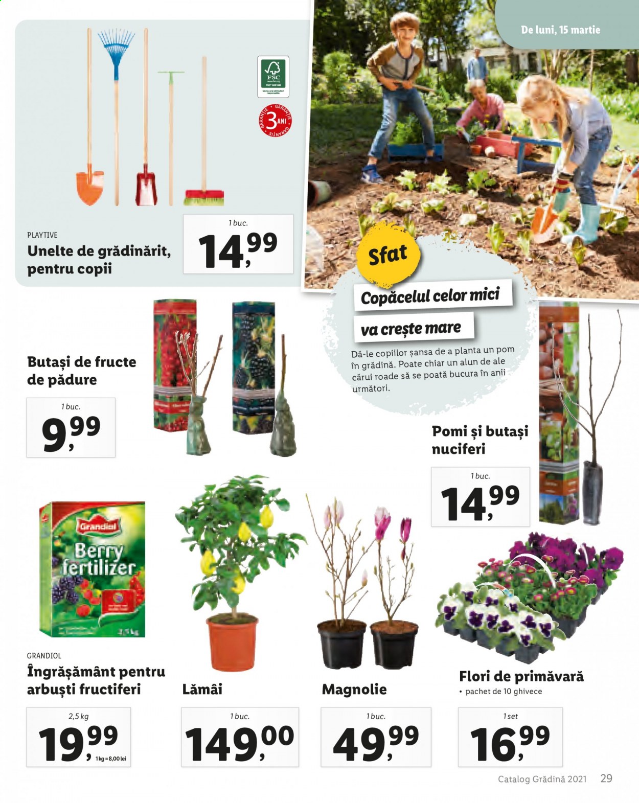 Catalog Lidl. Pagina 31