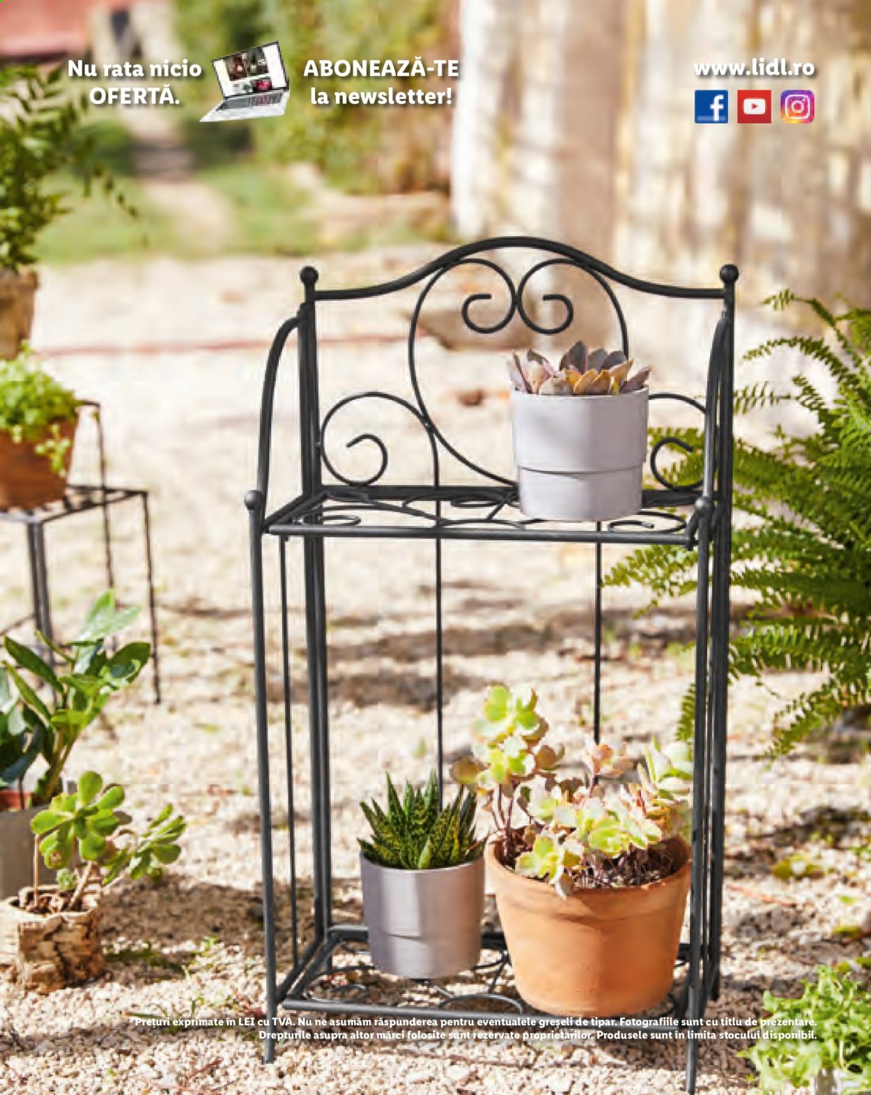 Catalog Lidl. Pagina 52