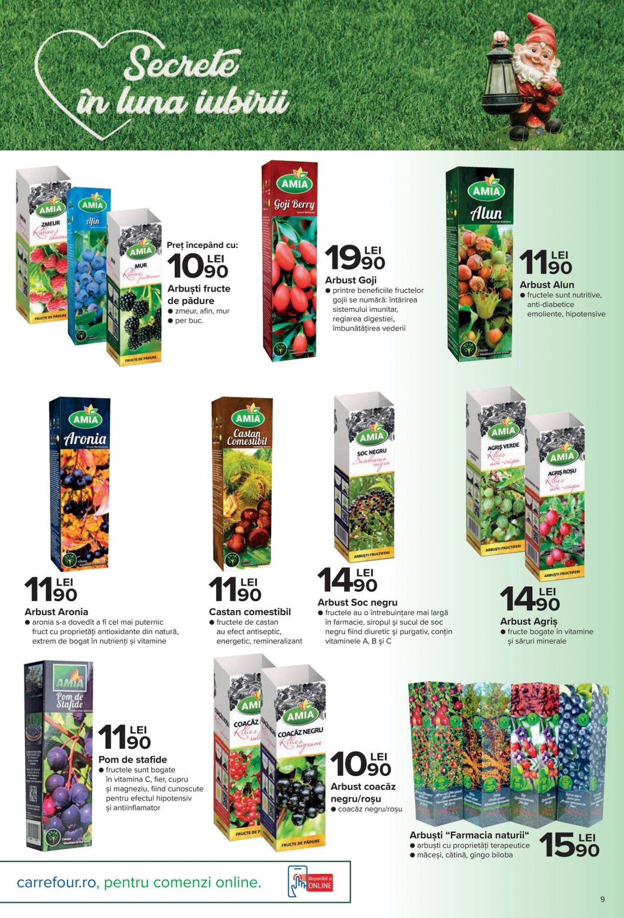 thumbnail - Cataloage Carrefour - 25.02.2021 - 14.04.2021 - Produse în vânzare - goji, arbusti fructiferi, alun, magneziu, vitamina c. Pagina 6.