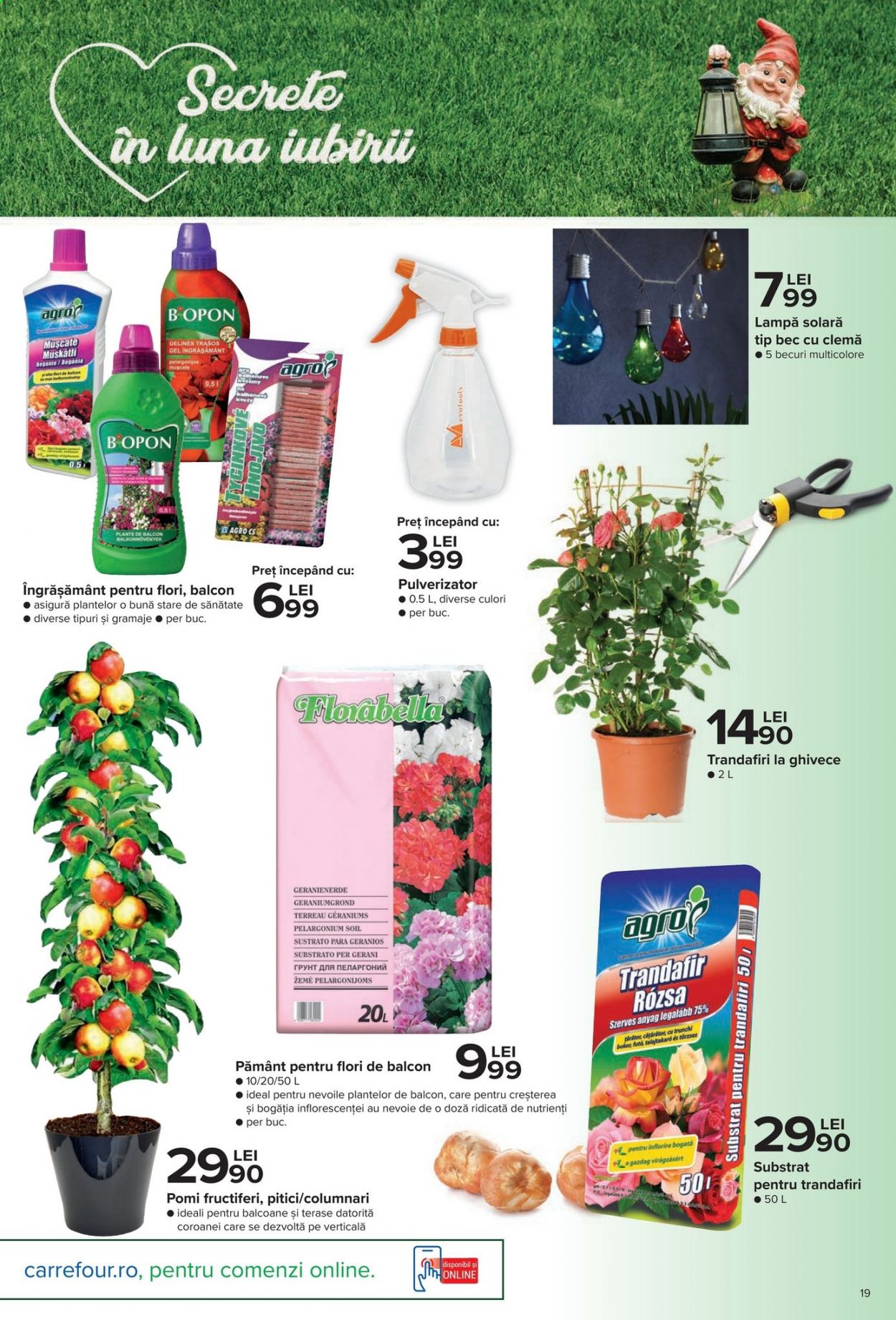 thumbnail - Cataloage Carrefour - 25.02.2021 - 14.04.2021 - Produse în vânzare - bec, lampă, lampă solară, ghiveci, pomi fructiferi, trandafiri, pământ, flori. Pagina 11.