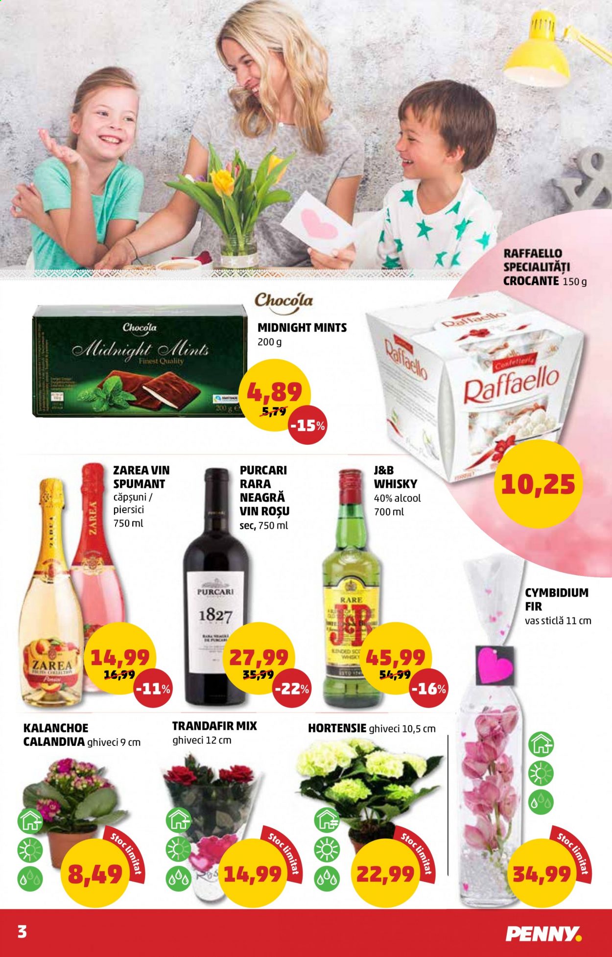 Catalog PENNY - 03.03.2021 - 09.03.2021. Pagina 3