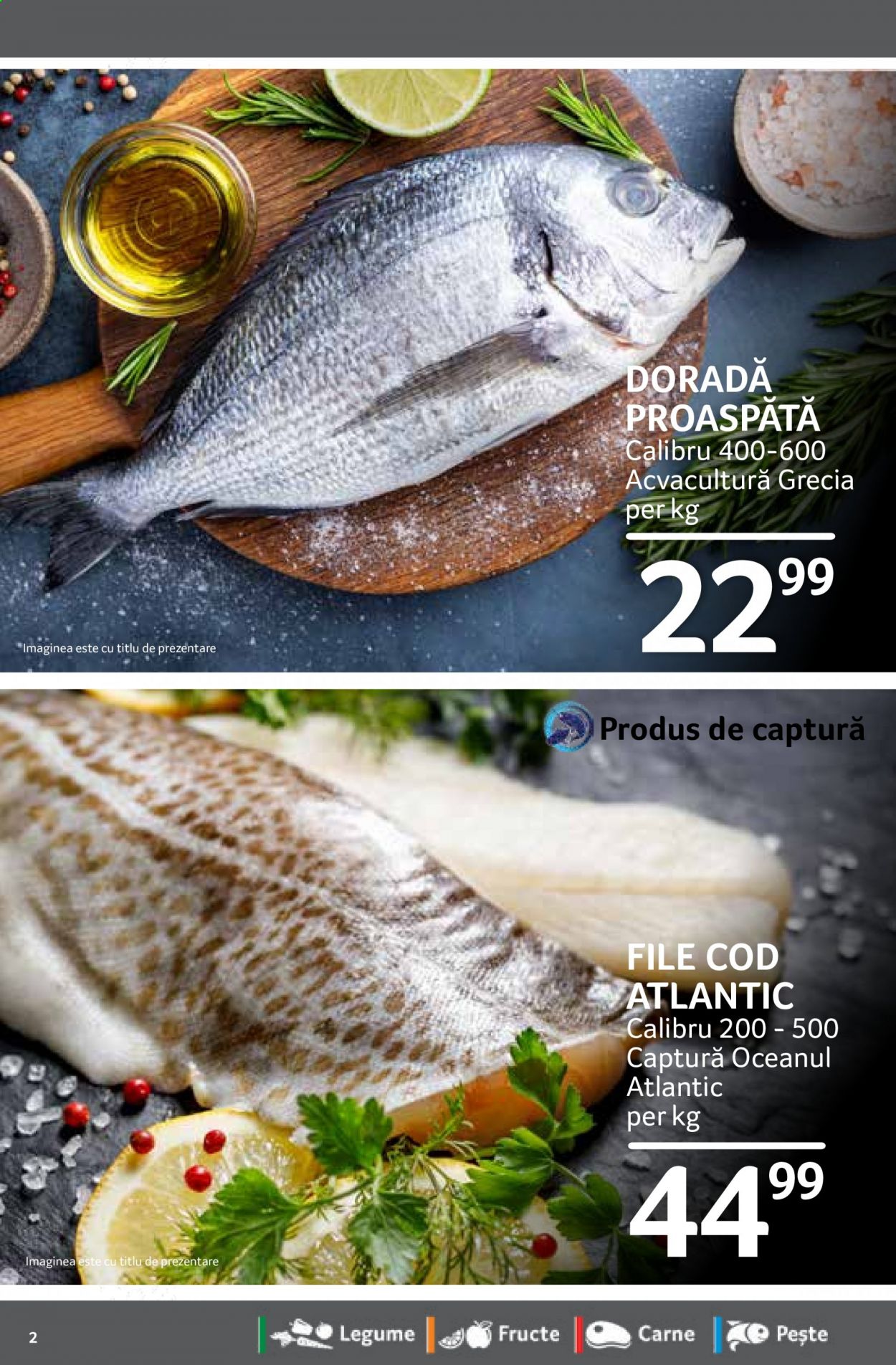 Catalog Selgros - 26.02.2021 - 04.03.2021. Pagina 2