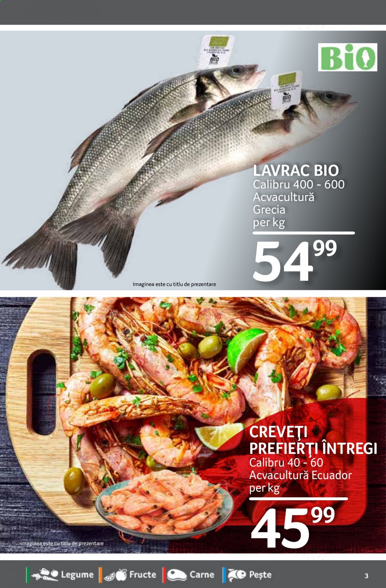 Catalog Selgros - 26.02.2021 - 04.03.2021. Pagina 3