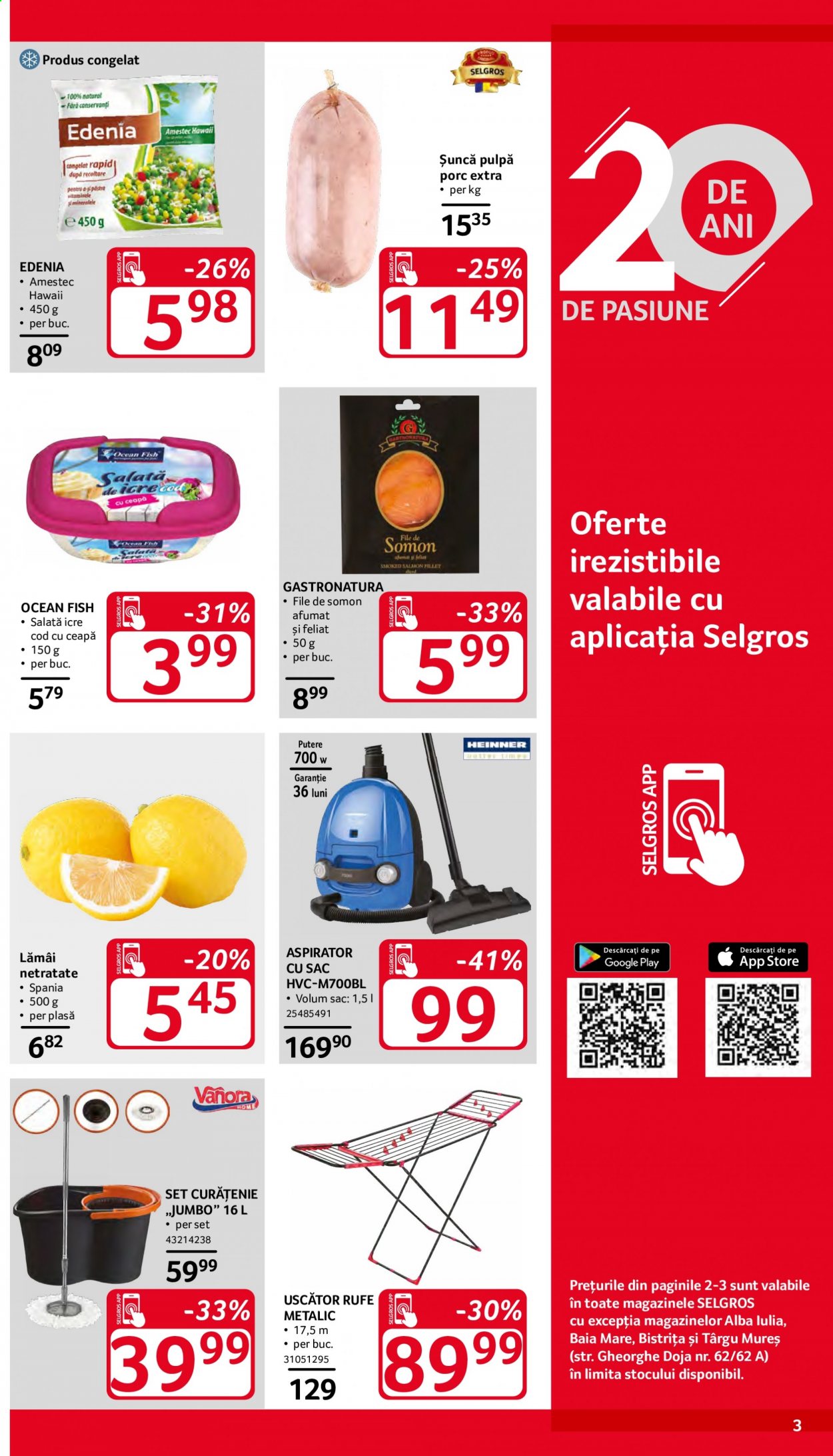 Catalog Selgros - 19.03.2021 - 01.04.2021. Pagina 3