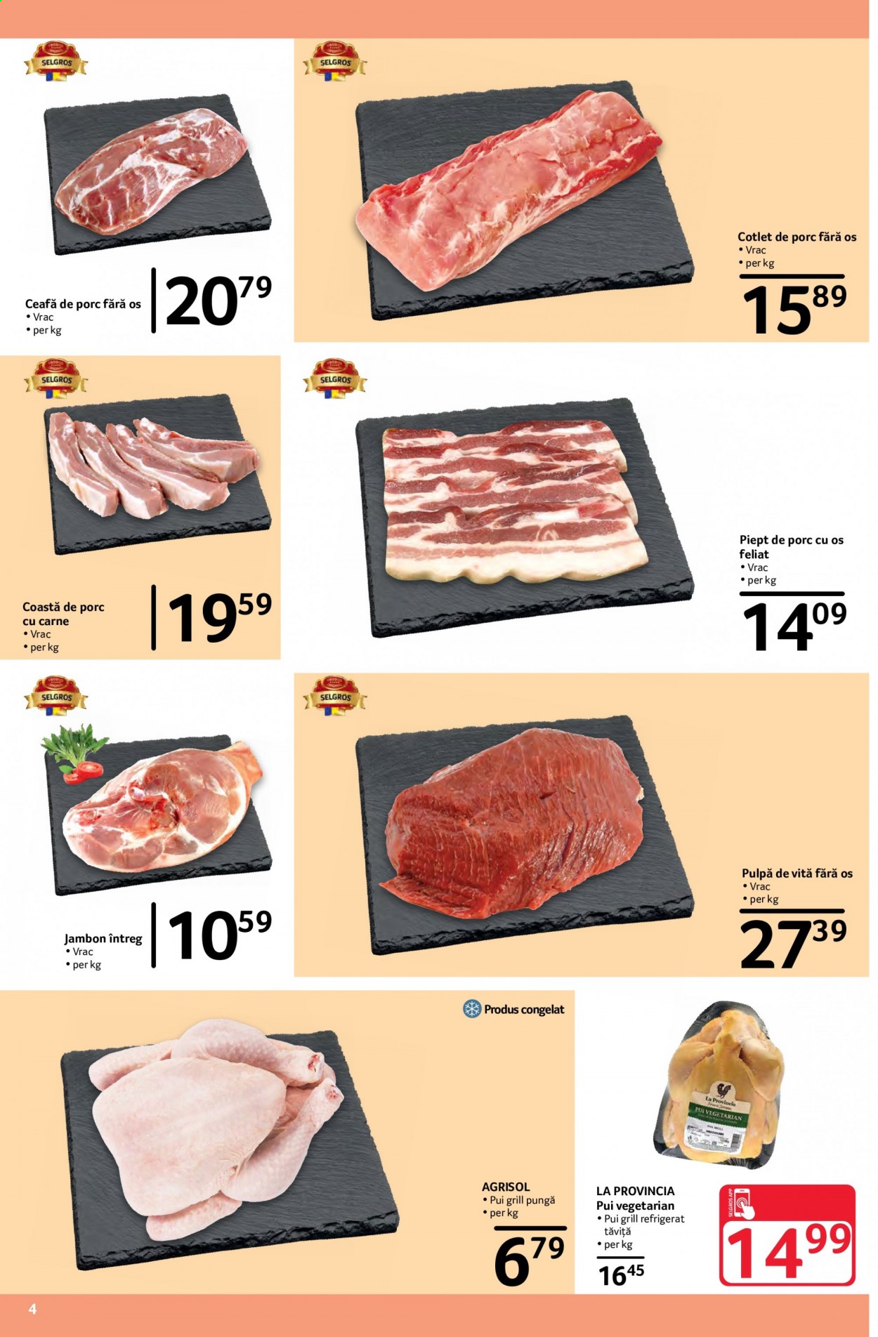 Catalog Selgros - 19.03.2021 - 01.04.2021. Pagina 4