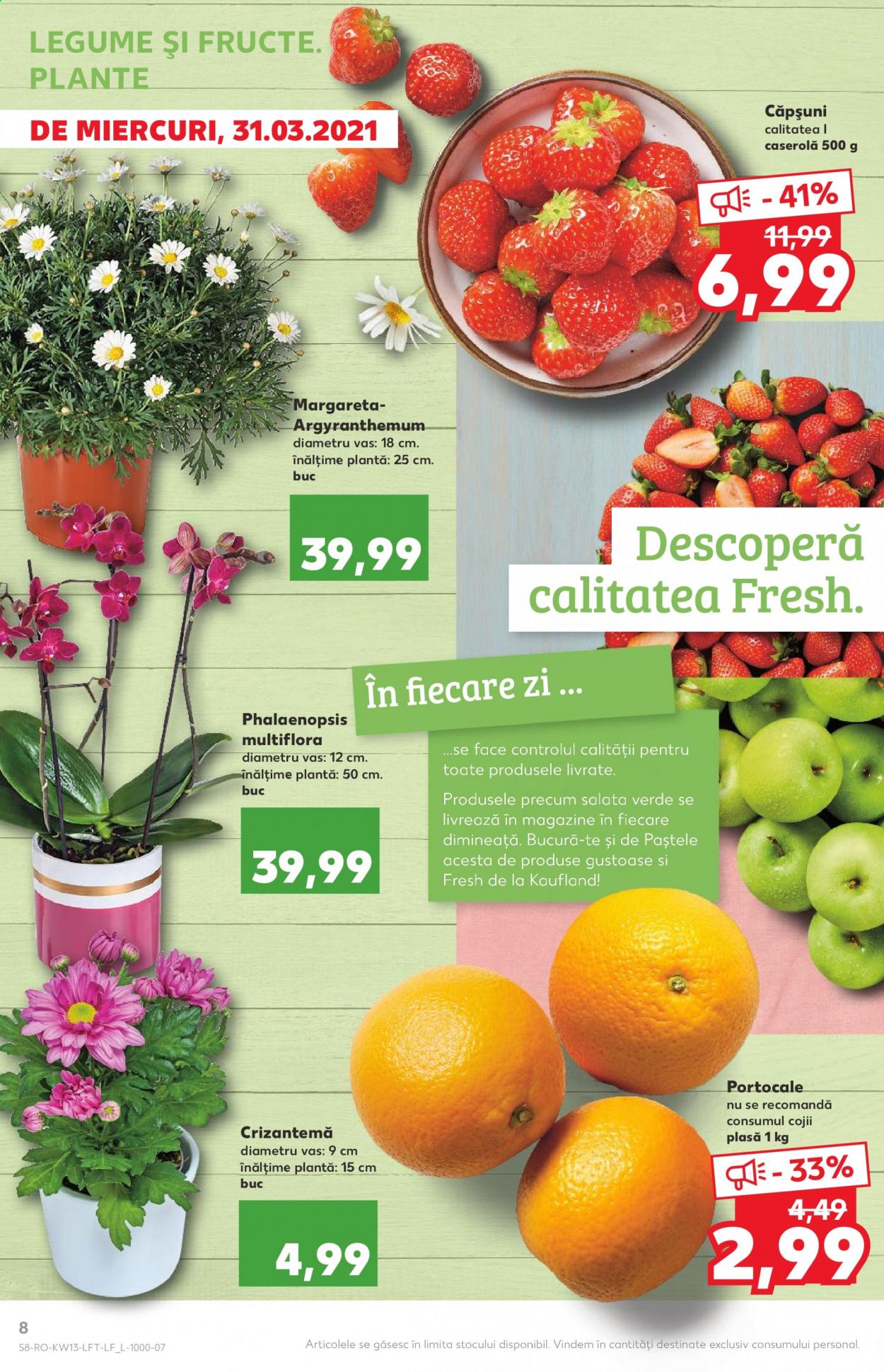 Catalog Kaufland - 31.03.2021 - 06.04.2021. Pagina 8