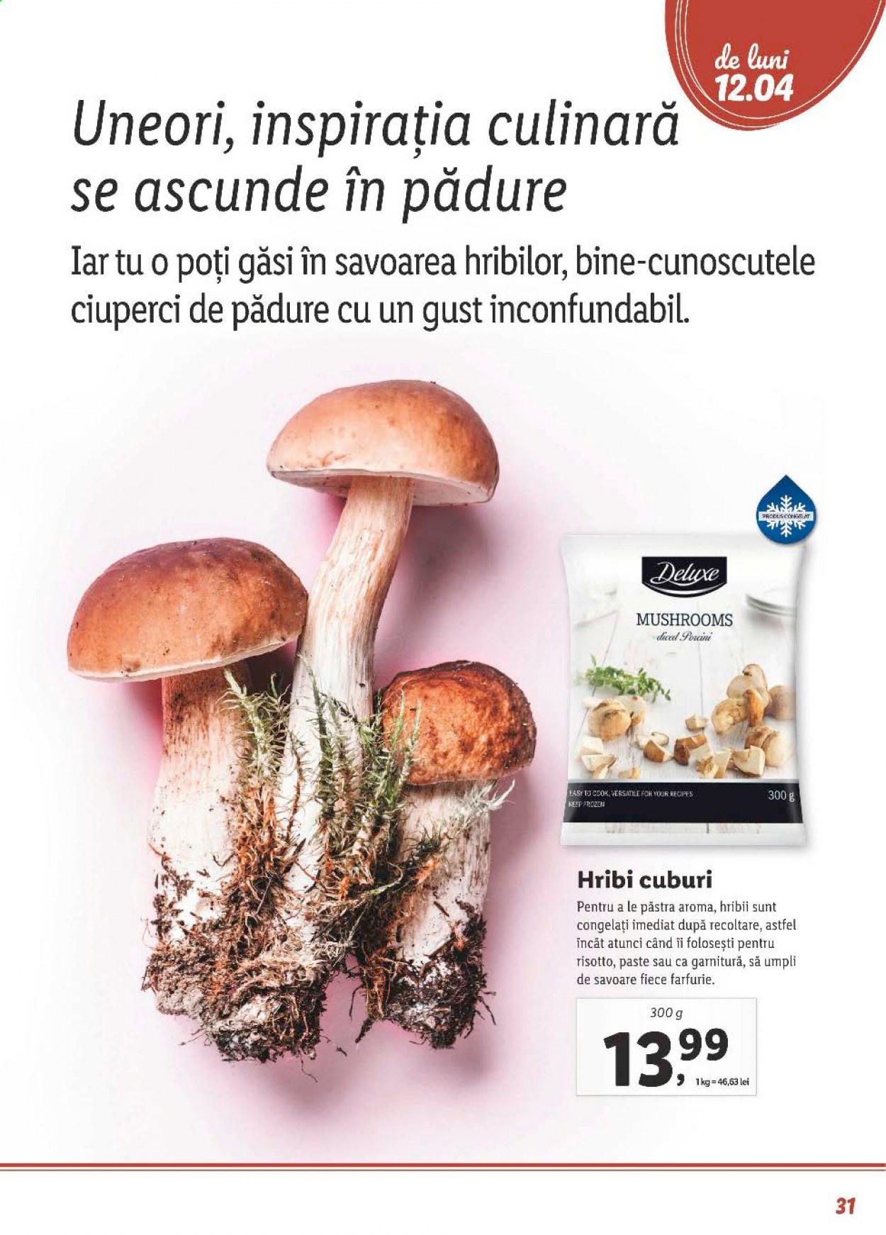 Catalog Lidl - 05.04.2021 - 02.05.2021. Pagina 31