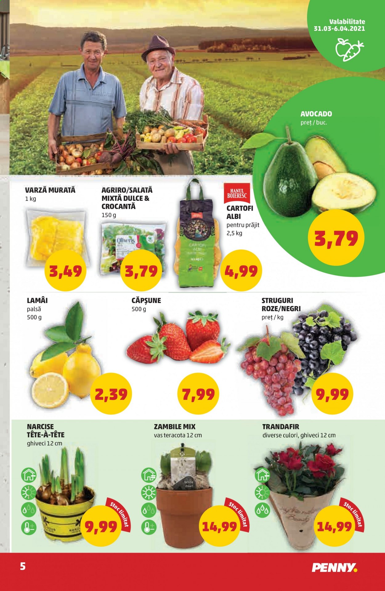 Catalog PENNY - 31.03.2021 - 06.04.2021. Pagina 5