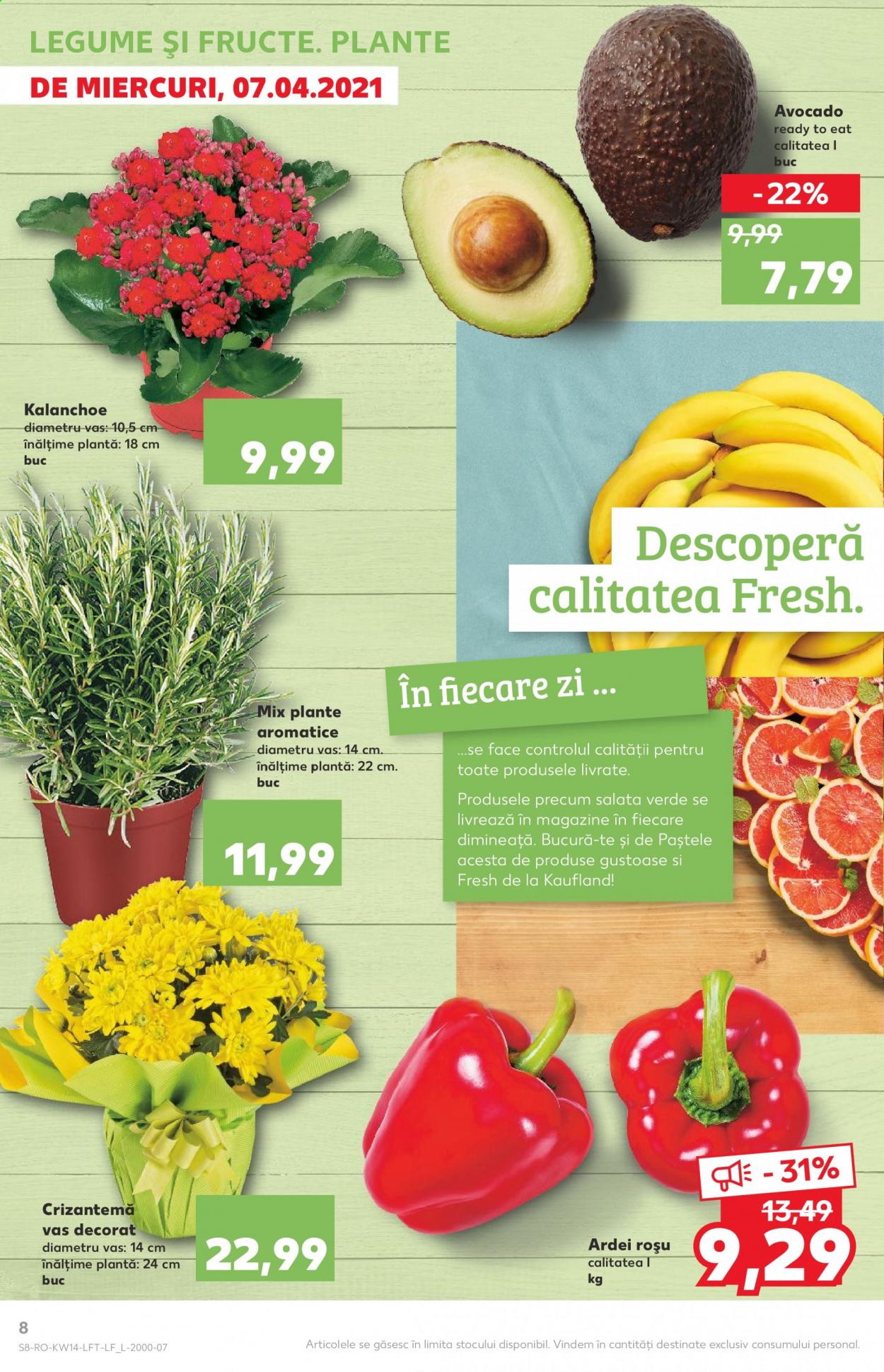 Catalog Kaufland - 07.04.2021 - 13.04.2021. Pagina 8