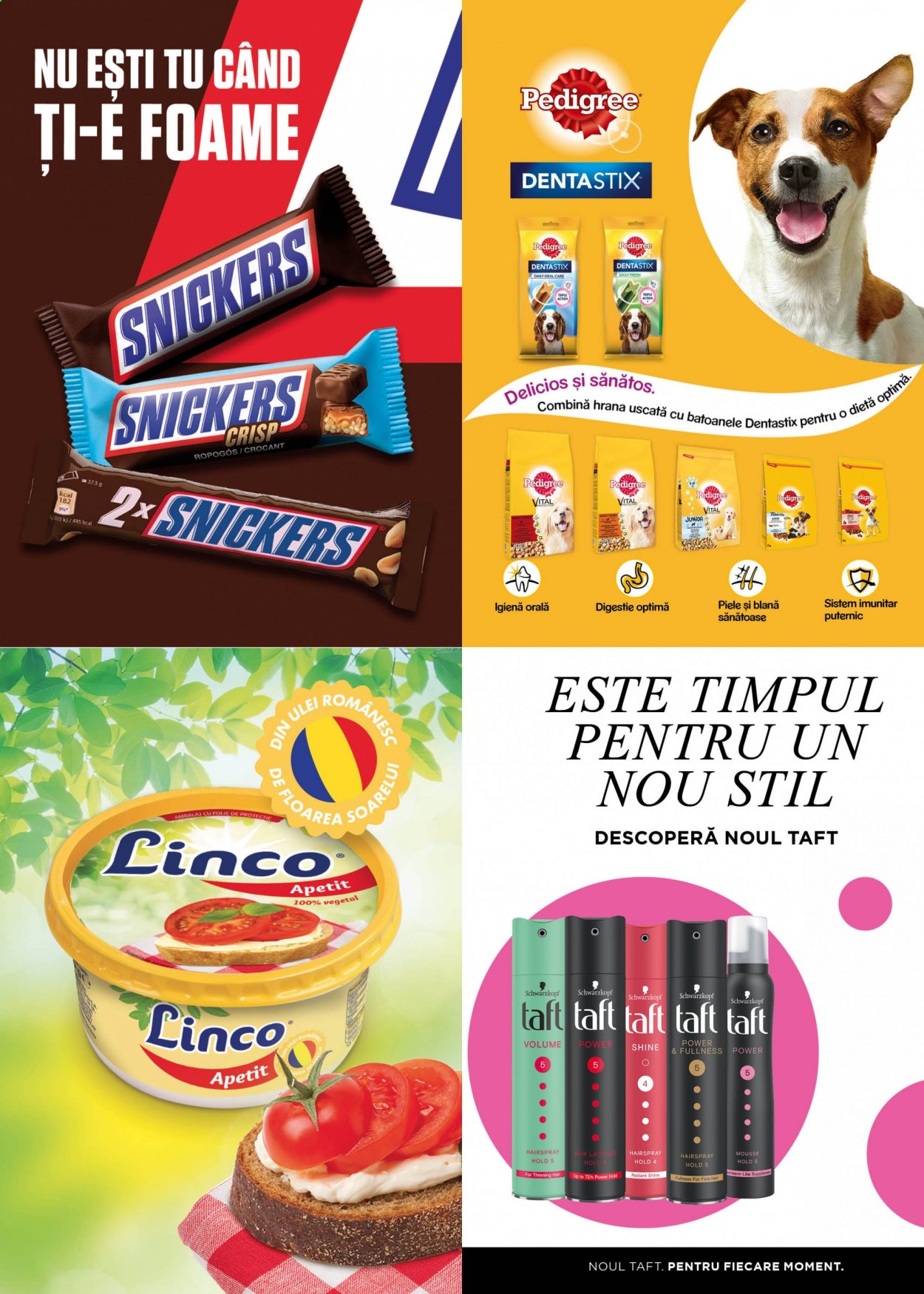 Catalog Profi - 07.04.2021 - 20.04.2021. Pagina 13