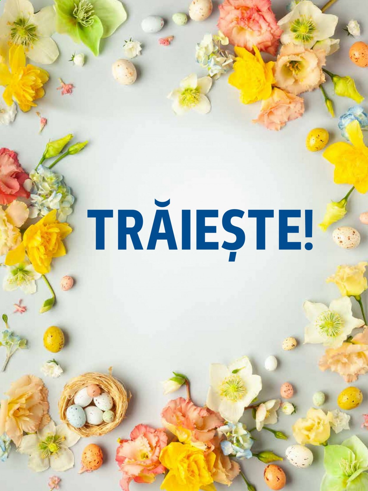 Catalog Kaufland. Pagina 72