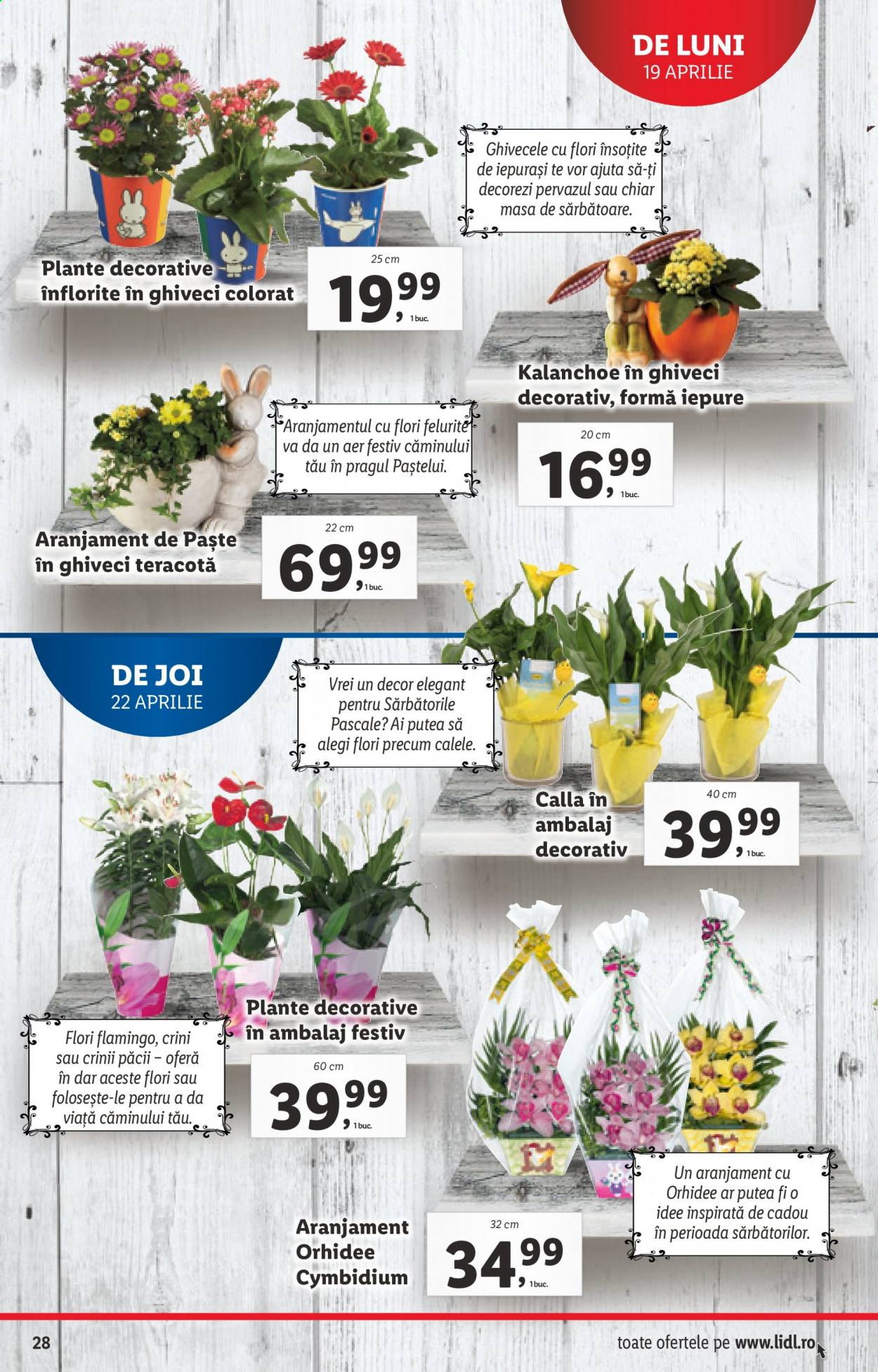 Catalog Lidl - 19.04.2021 - 25.04.2021. Pagina 28
