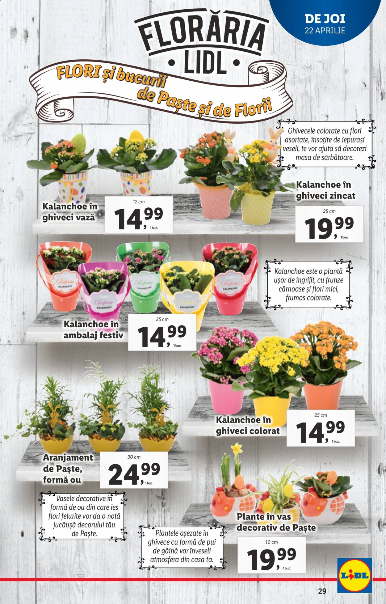 Catalog Lidl - 19.04.2021 - 25.04.2021. Pagina 29