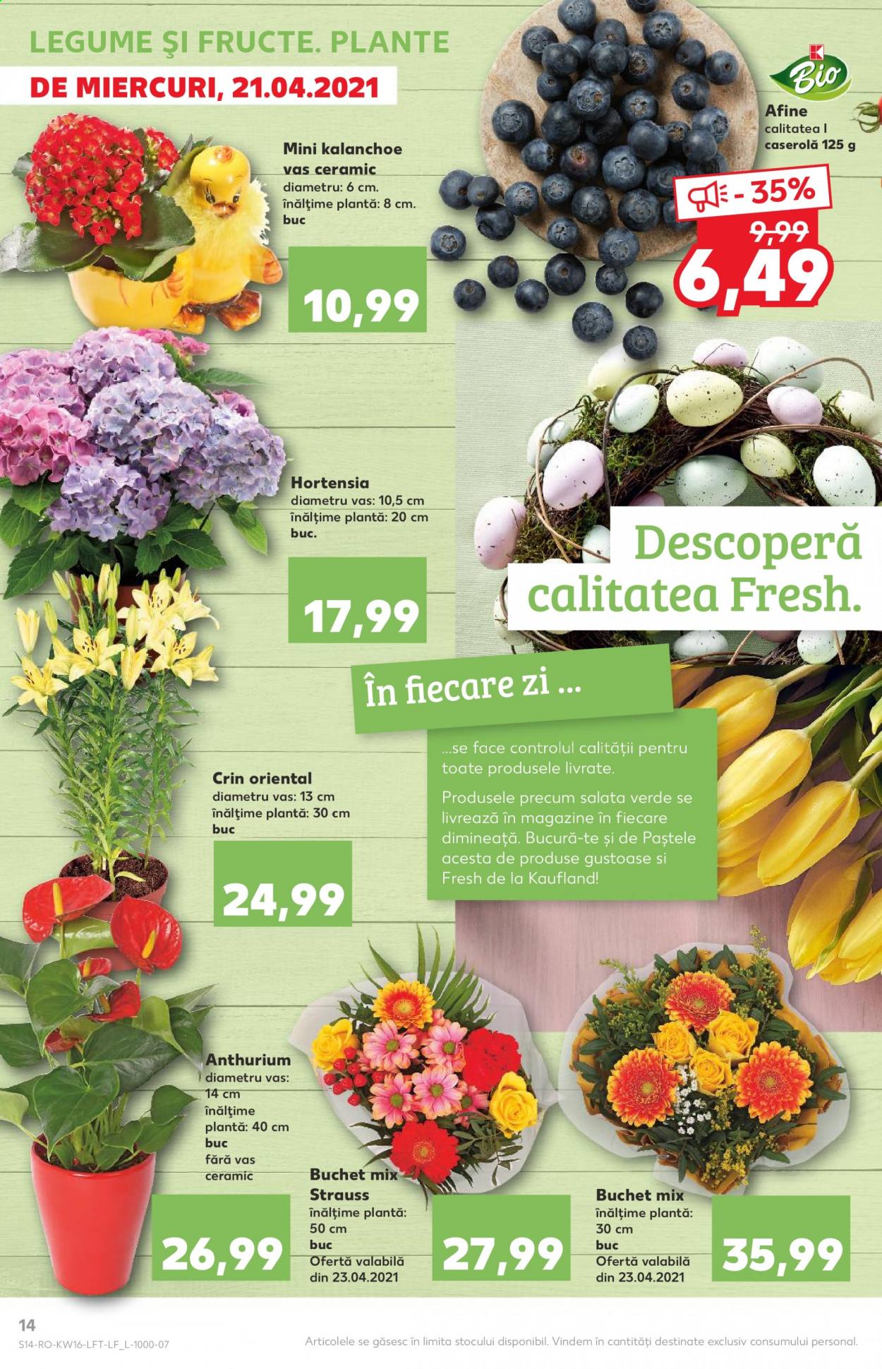 Catalog Kaufland - 21.04.2021 - 27.04.2021. Pagina 14