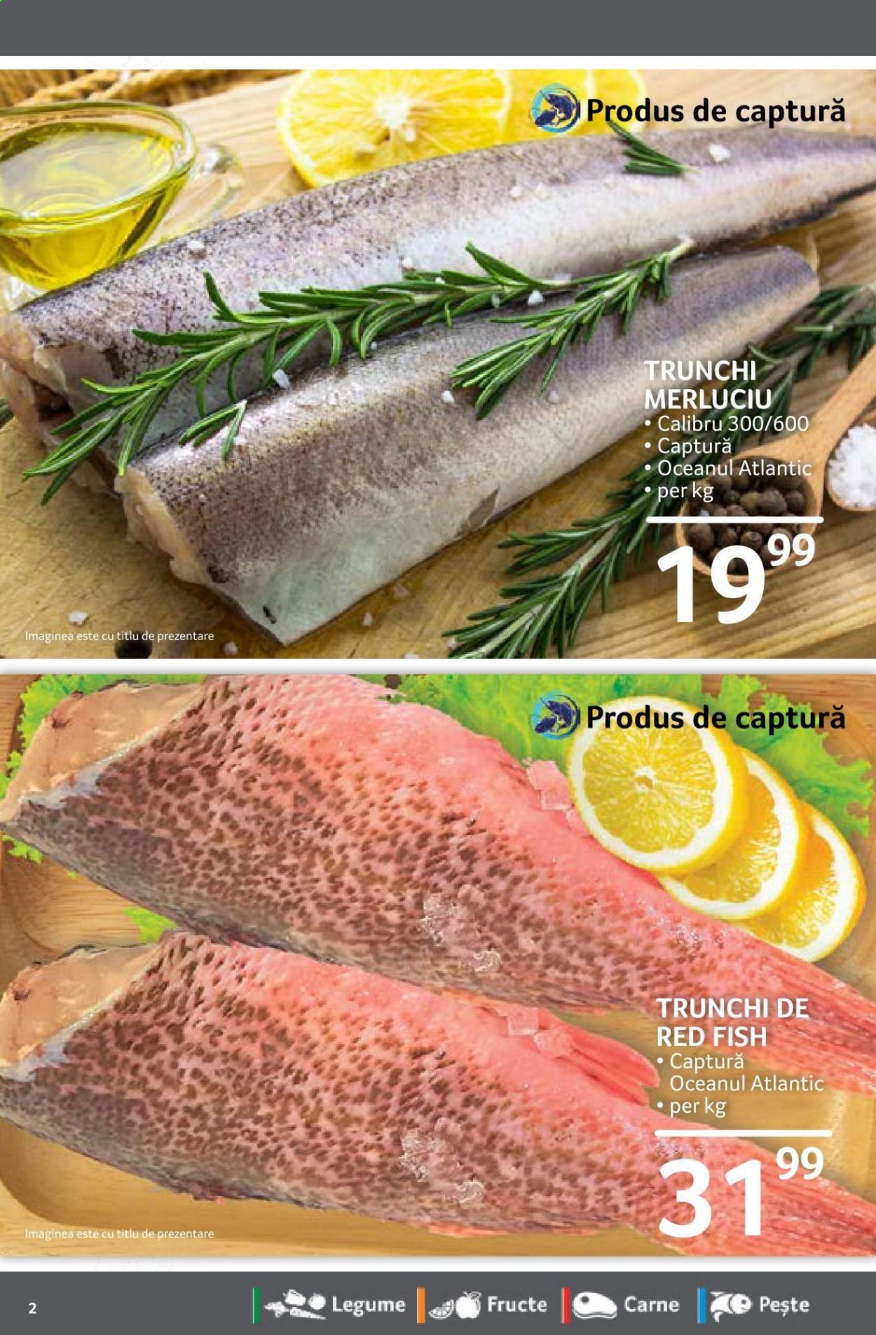 Catalog Selgros - 23.04.2021 - 29.04.2021. Pagina 2