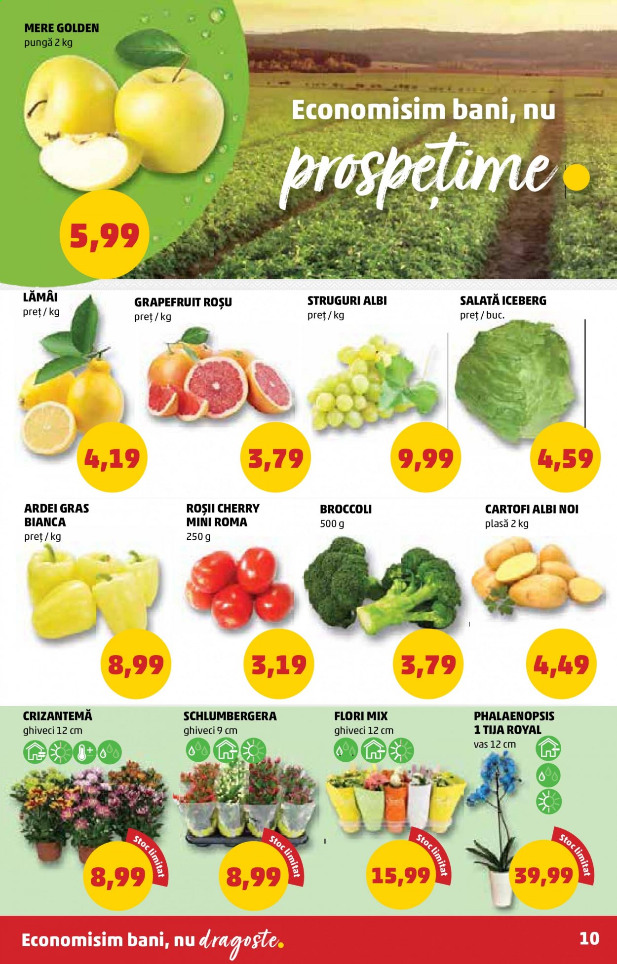 Catalog PENNY - 28.04.2021 - 04.05.2021. Pagina 10