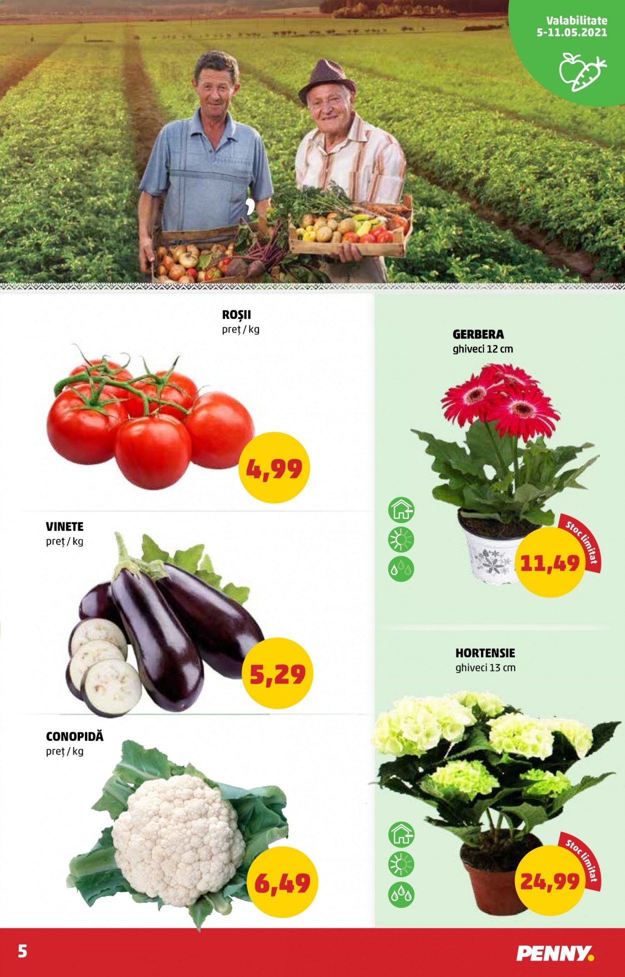 Catalog PENNY - 05.05.2021 - 11.05.2021. Pagina 5