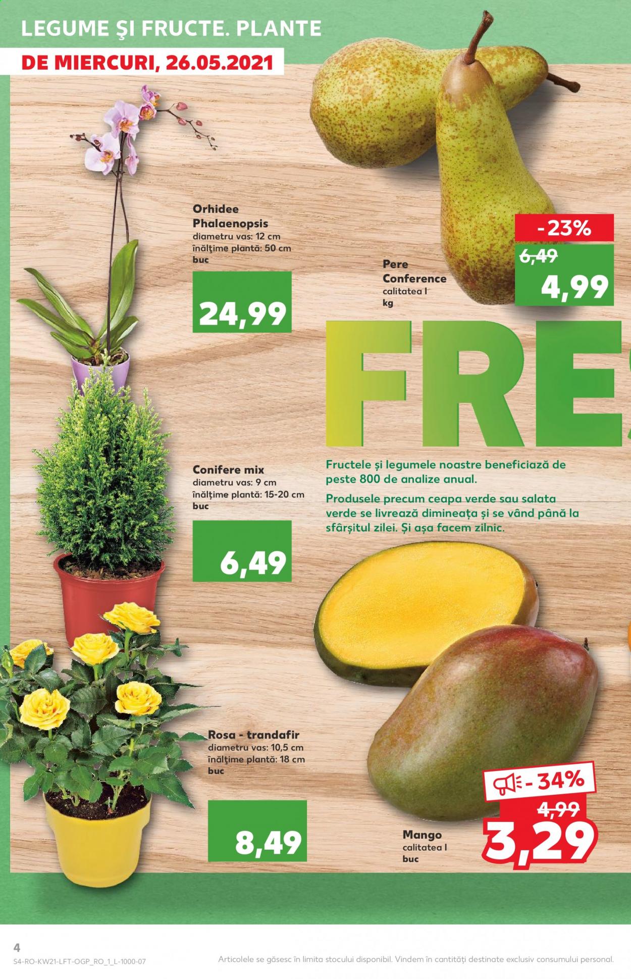 thumbnail - Cataloage Kaufland - 26.05.2021 - 01.06.2021 - Produse în vânzare - salată, ceapă verde, mango, pere, plante. Pagina 4.
