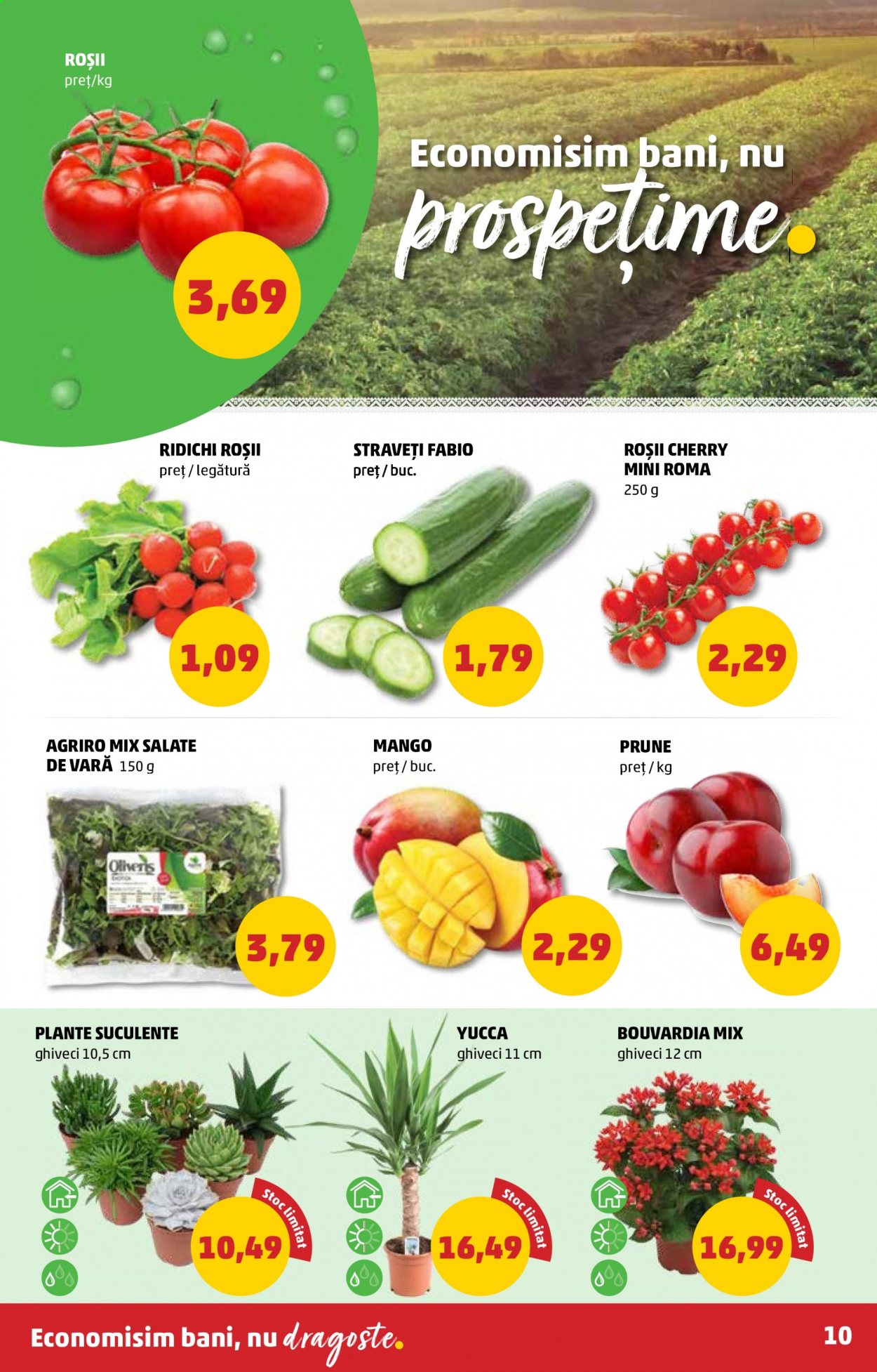 Catalog PENNY - 26.05.2021 - 01.06.2021. Pagina 10
