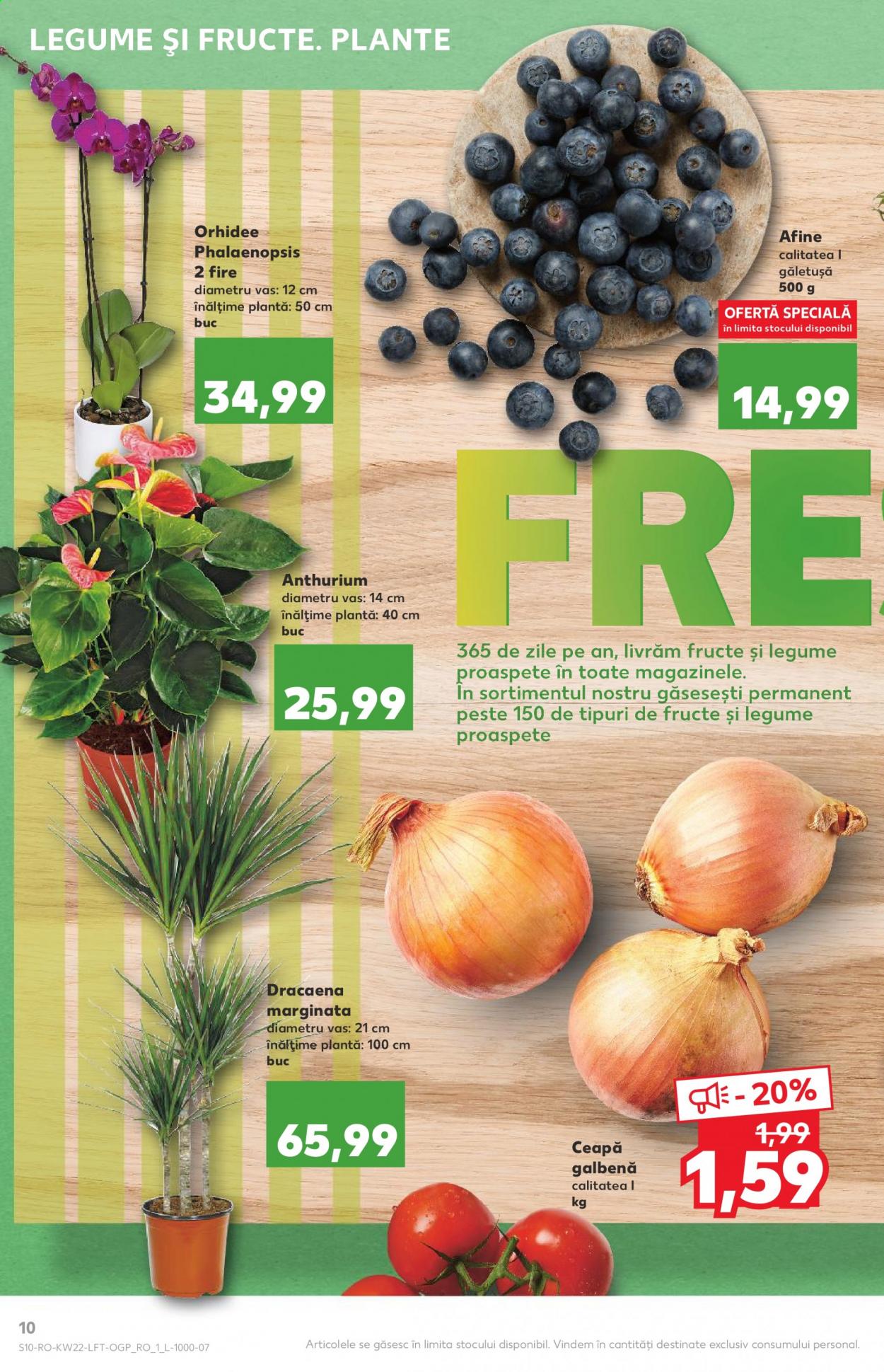 Catalog Kaufland - 02.06.2021 - 08.06.2021. Pagina 10