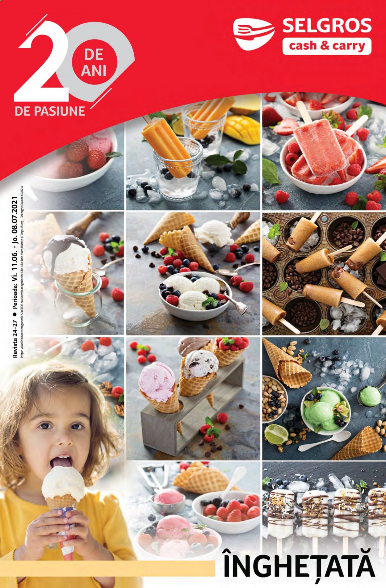 Catalog Selgros - 11.06.2021 - 08.07.2021. Pagina 1