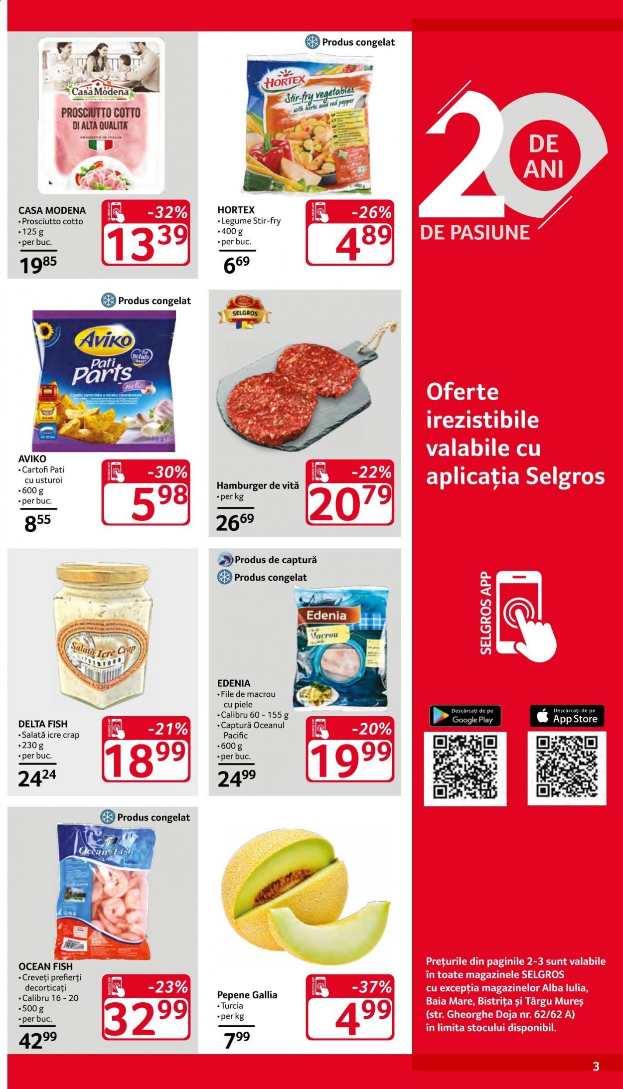 Catalog Selgros - 11.06.2021 - 24.06.2021. Pagina 3