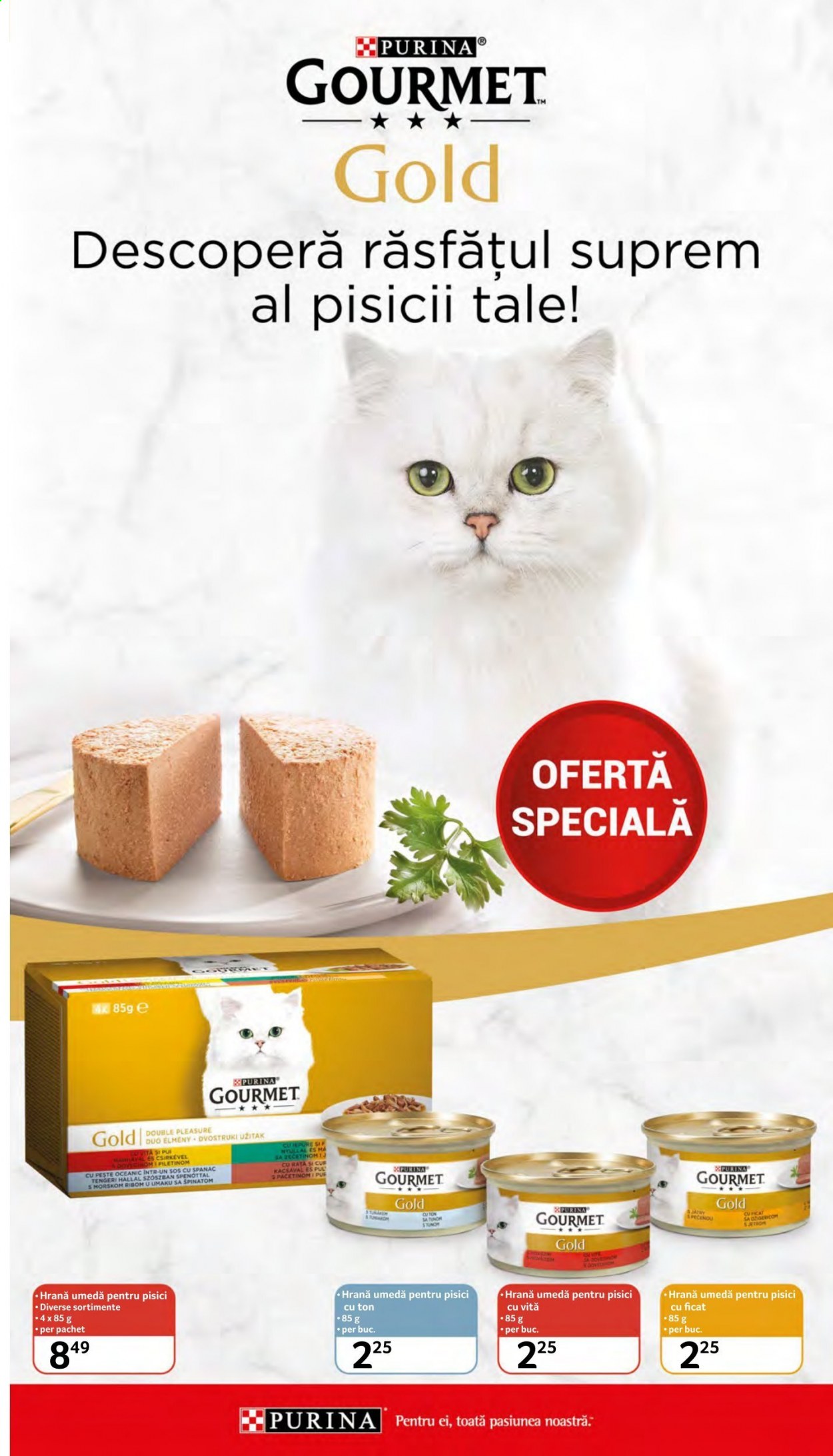 Catalog Selgros - 11.06.2021 - 24.06.2021. Pagina 35